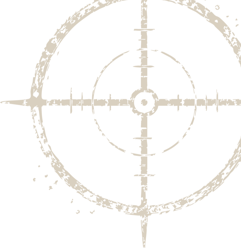 A black and white illustration of a crosshair or sniper scope viewfinder. The image features concentric circles and lines for targeting, with a distressed, grunge style.