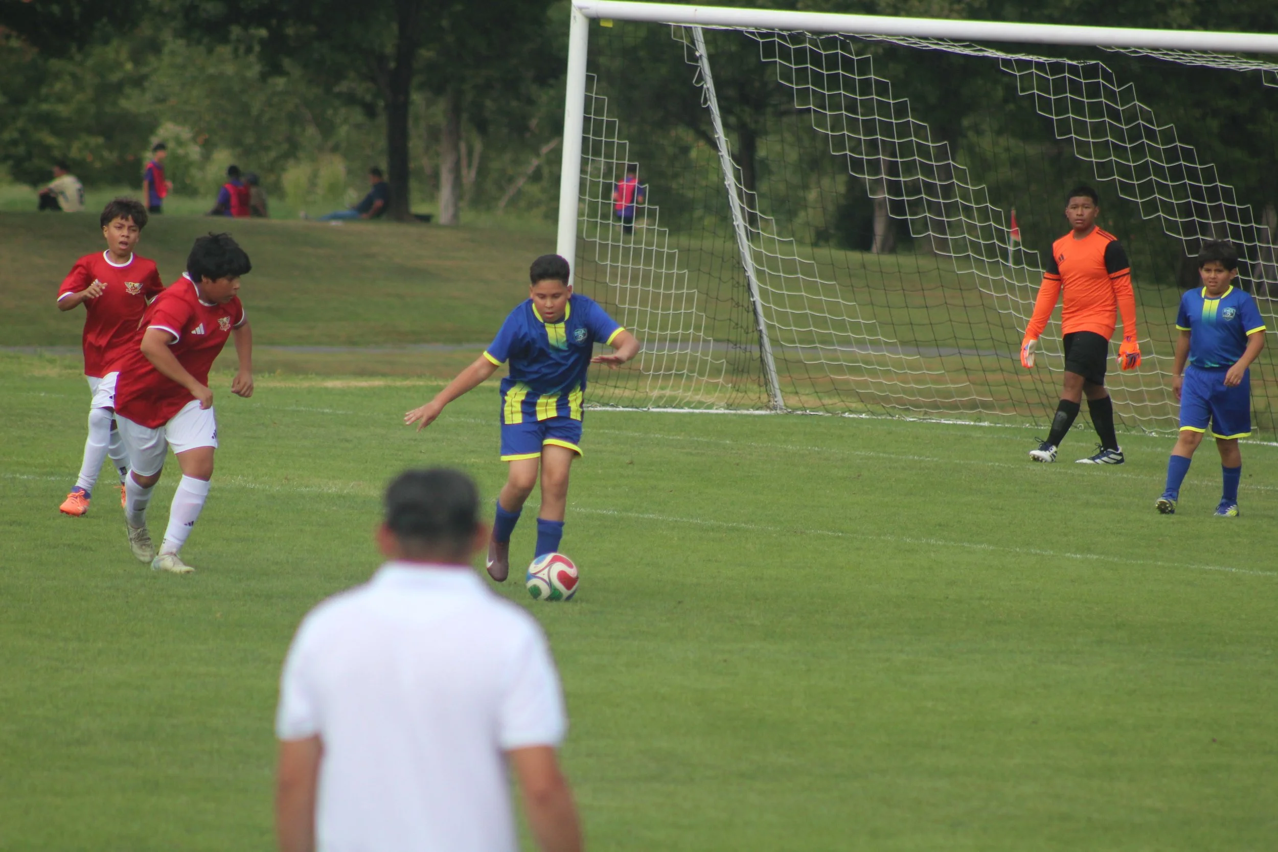 IMG_4936.JPG