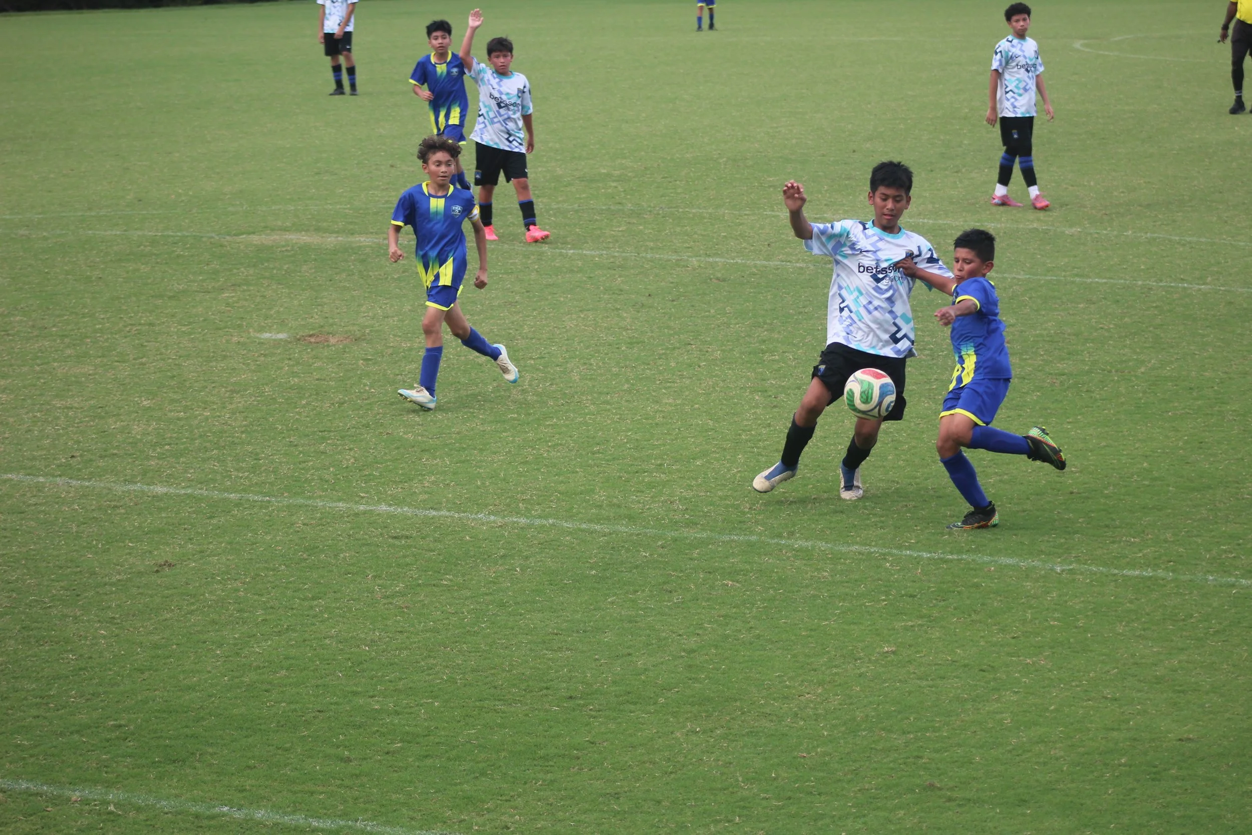 IMG_4416.JPG