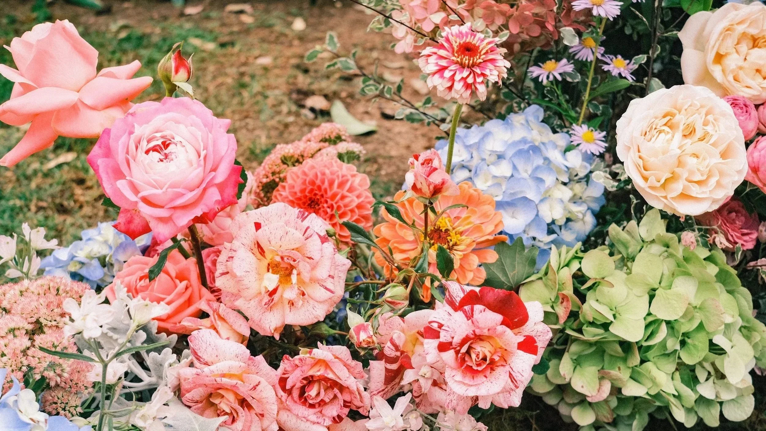 A variety of colorful flowers including roses, hydrangeas, daisies, and other blossoms growing in a garden bed.