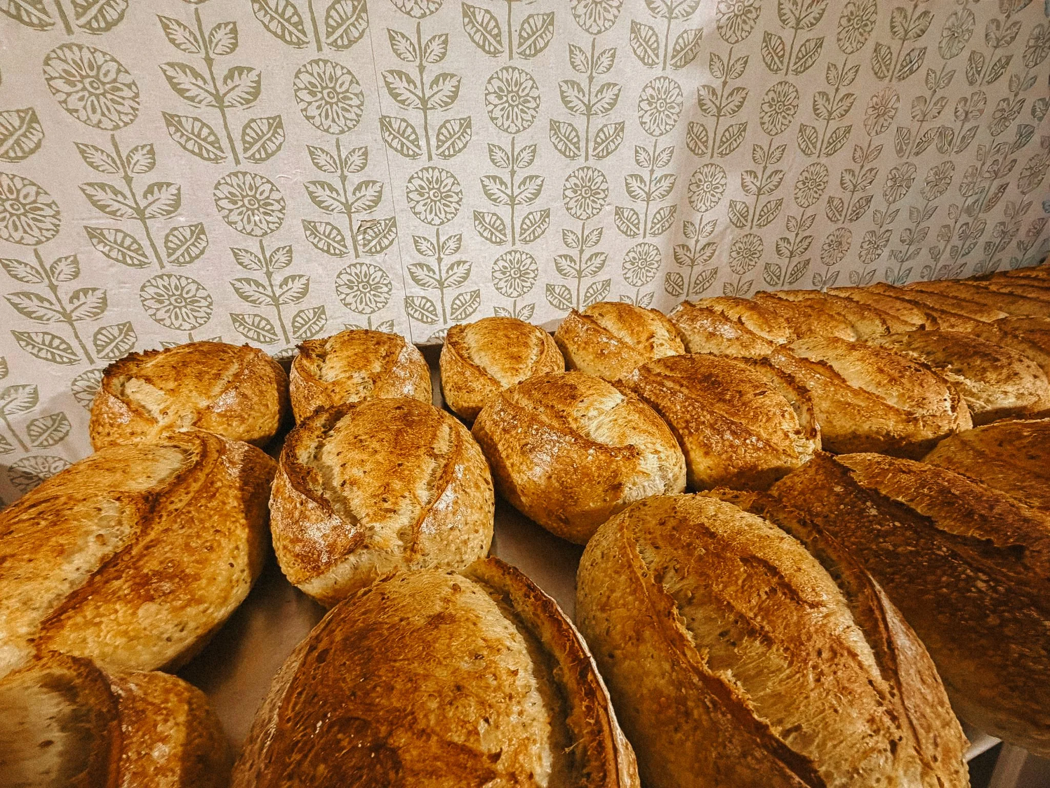 A close-up view of freshly baked loaves of bread with golden crusts, arranged on a surface in front of a background with a pattern of stylized leaves and circular designs in beige and white.