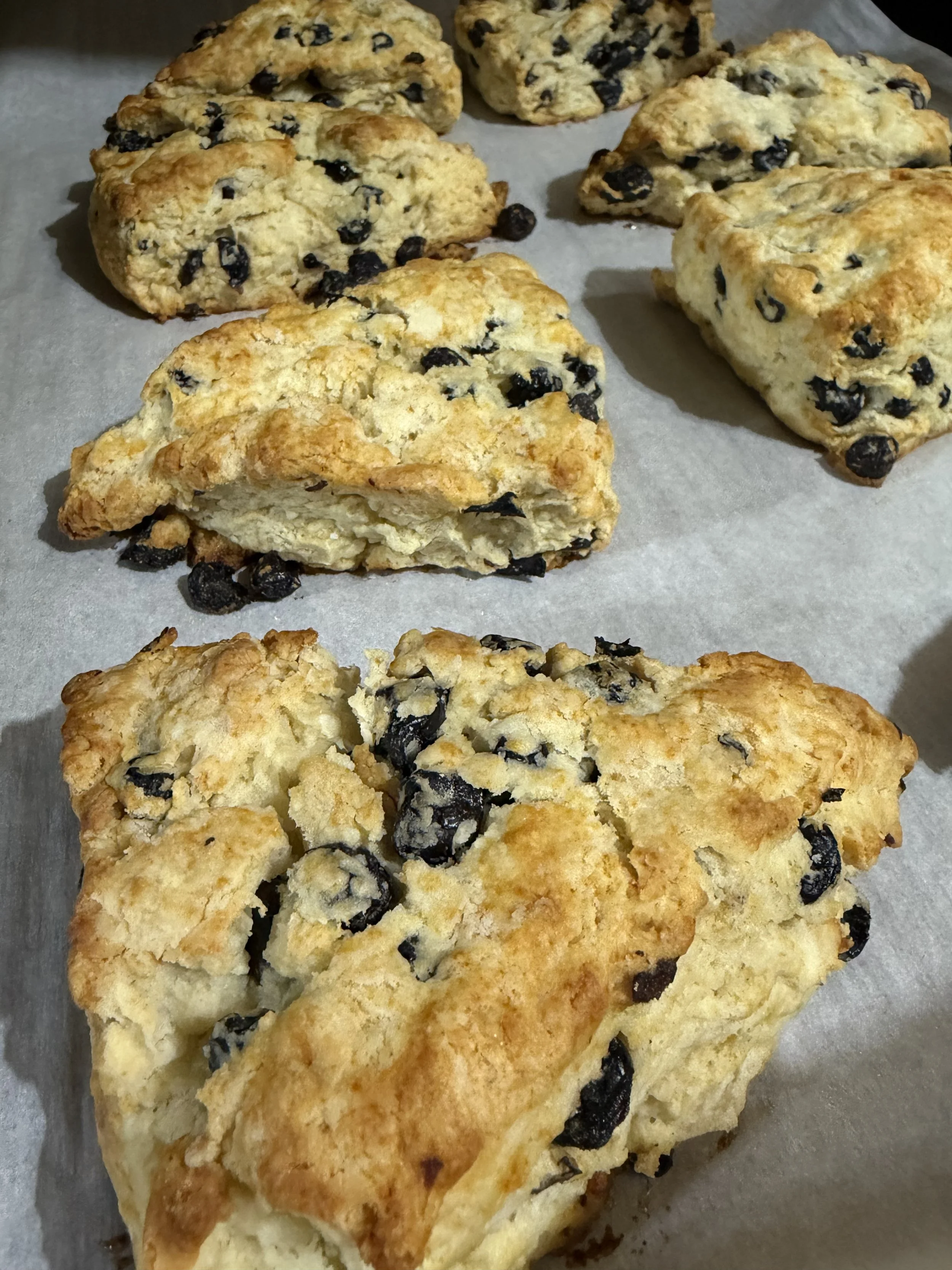 Sourdough Scones