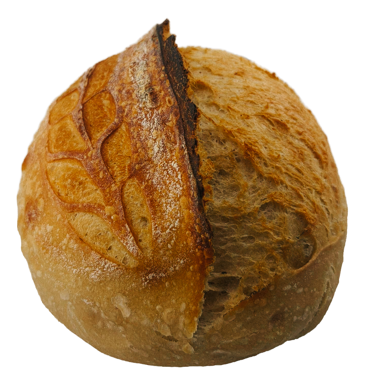 Close-up of a round loaf of bread with a golden crust, scored with a leaf-like pattern on top.