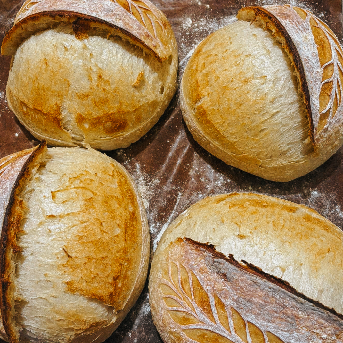 Four freshly baked round loaves of bread with a decorative scored pattern on the crust, placed on a floured baking sheet.