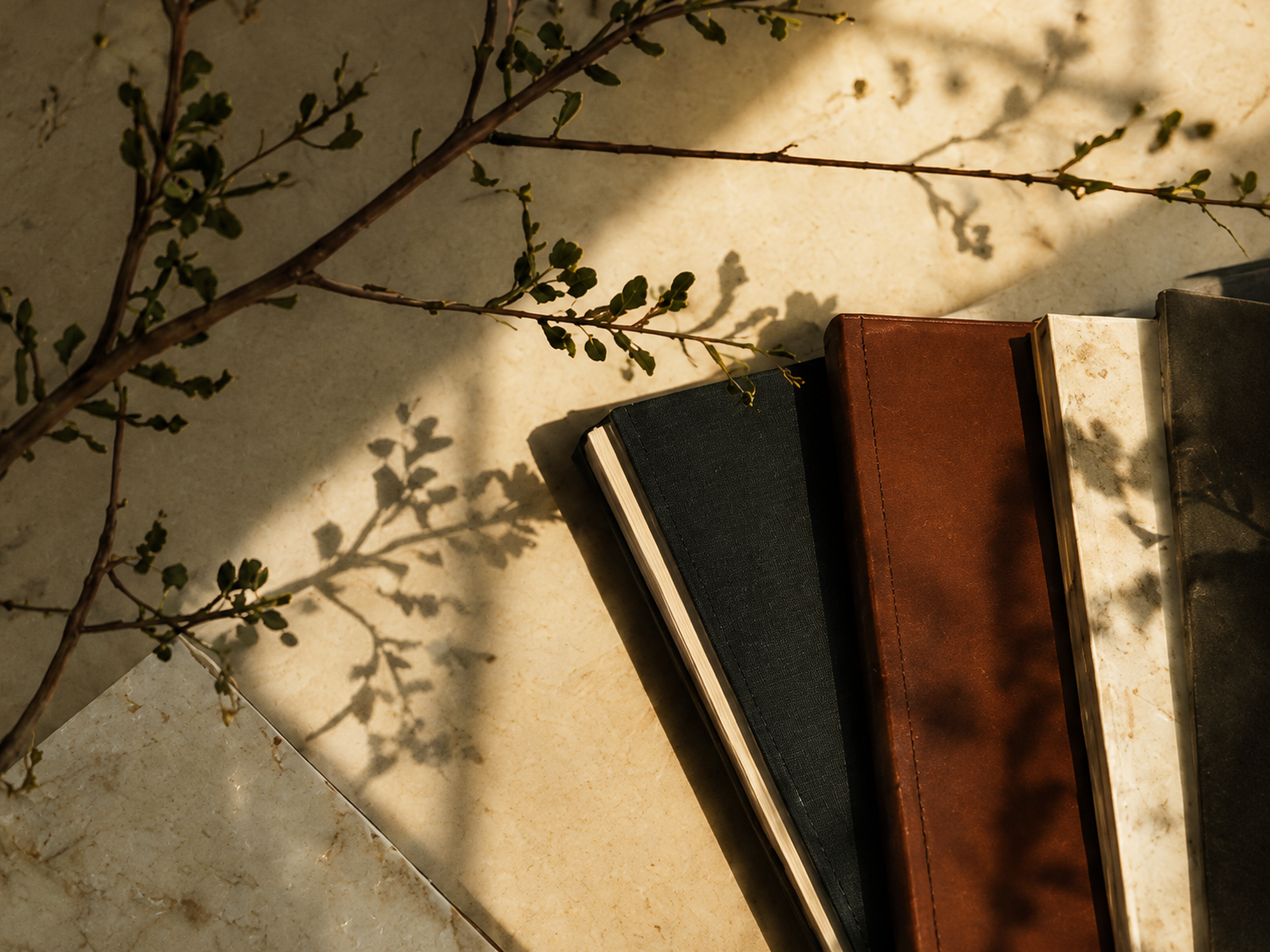 Three closed books, one black, one brown, and one white, are placed on a tiled surface with shadows. A small branch with green leaves is also on the surface.