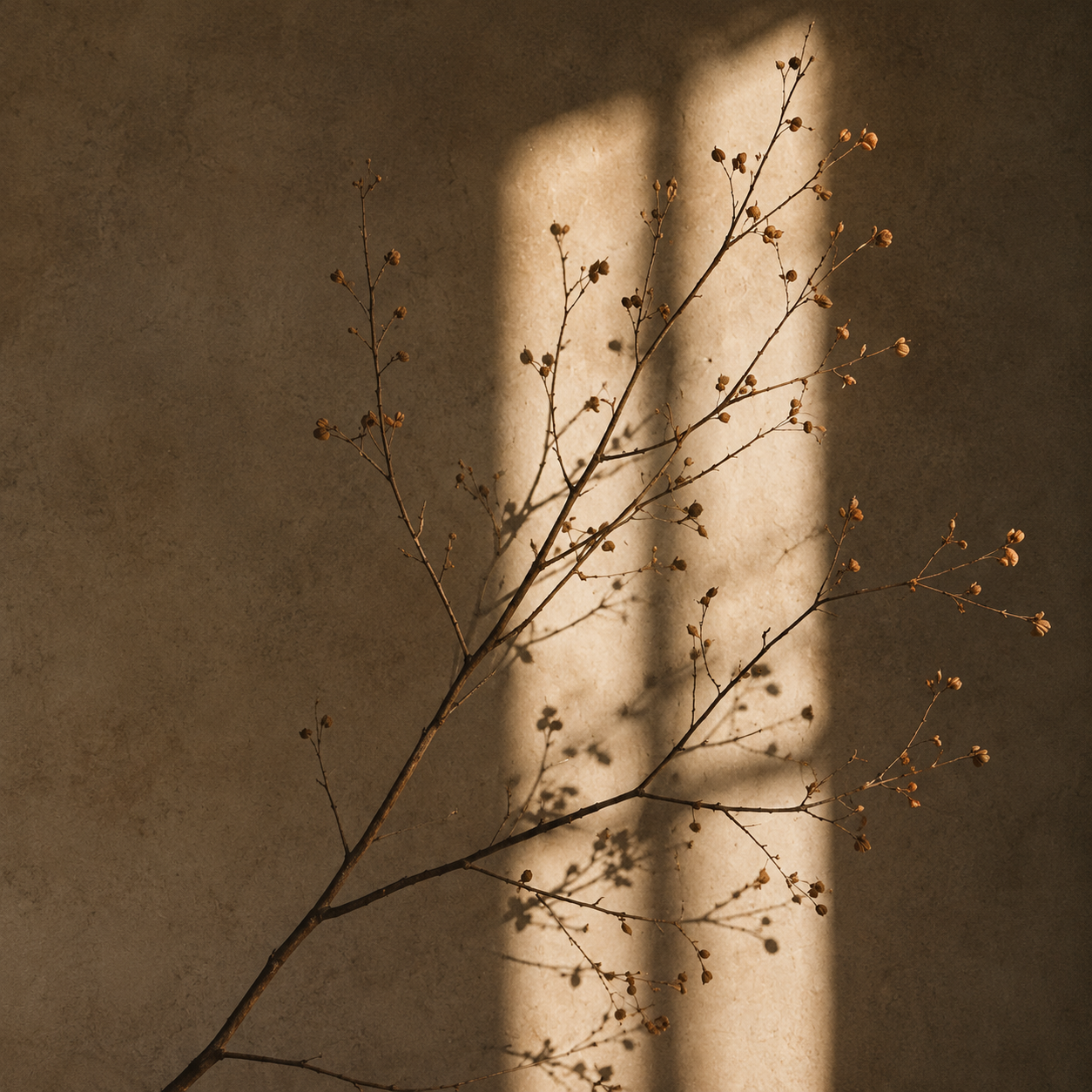 A small, leafless branch with tiny buds casts a shadow on a beige wall, illuminated by sunlight.