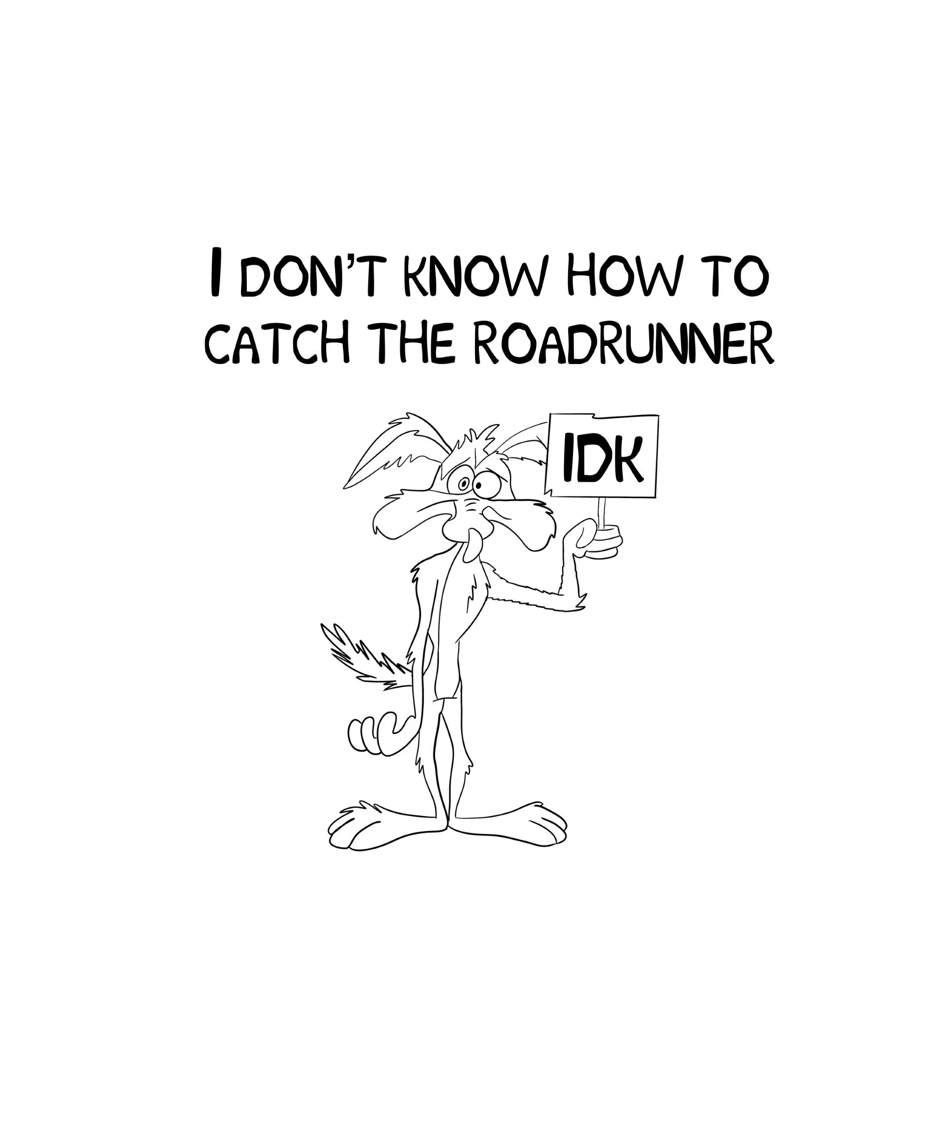 roadrunner.jpg