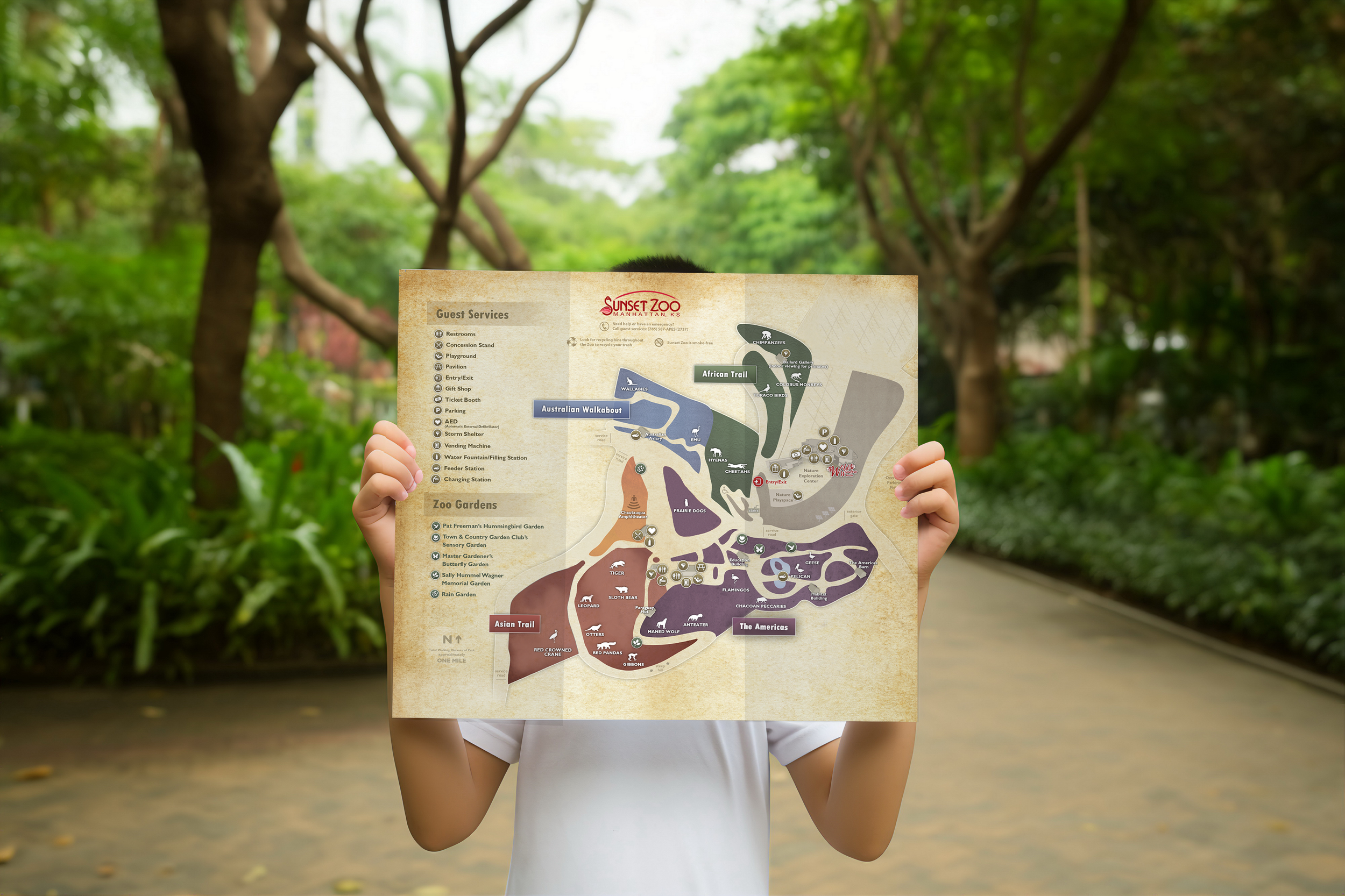Sunset Zoo — Wayfinding Map & Signage System
