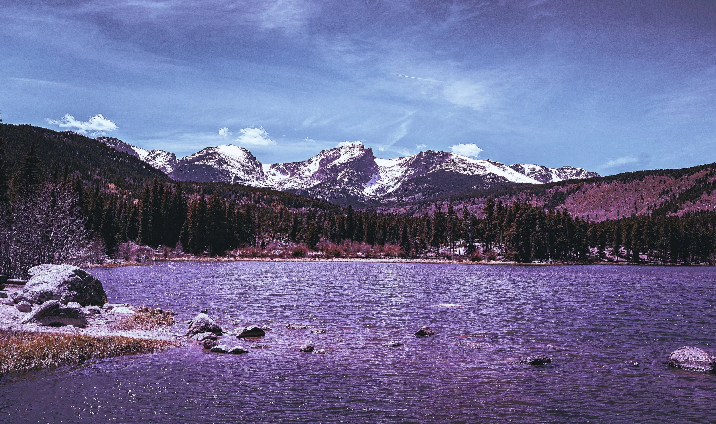 IMG_0849.jpg