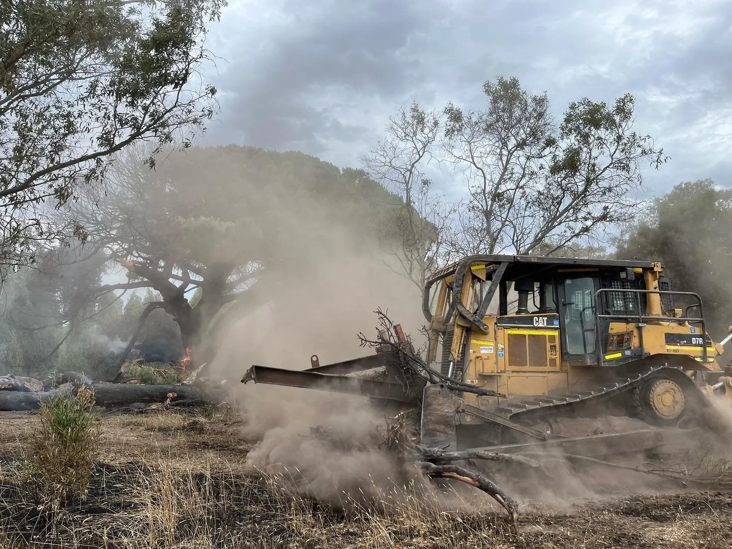 Bit of dozer action for you all today. Taken at a recent fire south of Edenhope, Vic. #d7r #dozer #fire #deeca #delwp #ffmv #cfavic #firecrw #firecrew #powerscreek