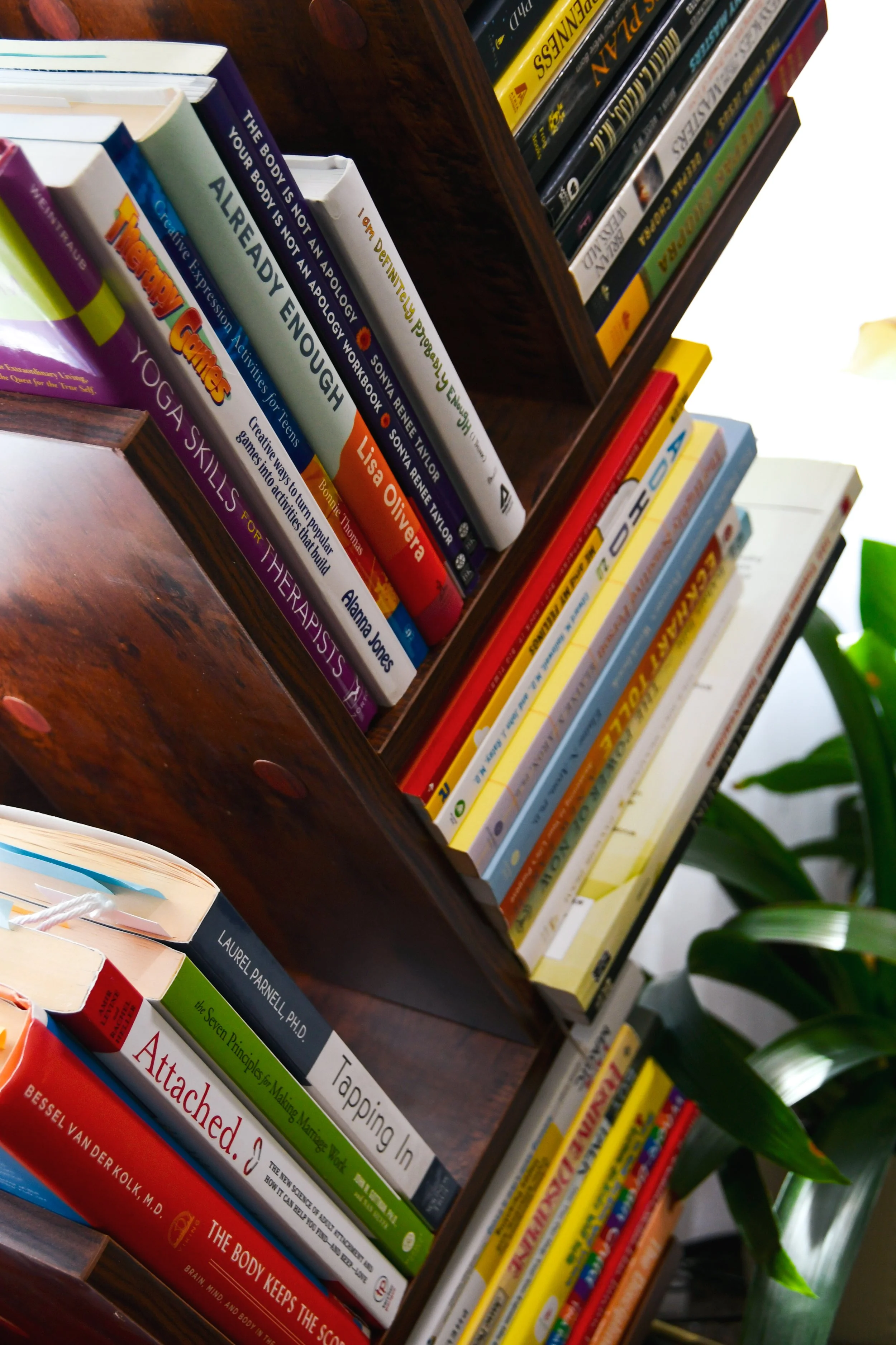 Bookshelf with various books on health, psychology, and self-help placed on a dark wooden shelf. Some visible titles include "Ready Enough," "The Body Keeps the Score," and "Attatched." There is a plant with green leaves visible on the right side of the image.
