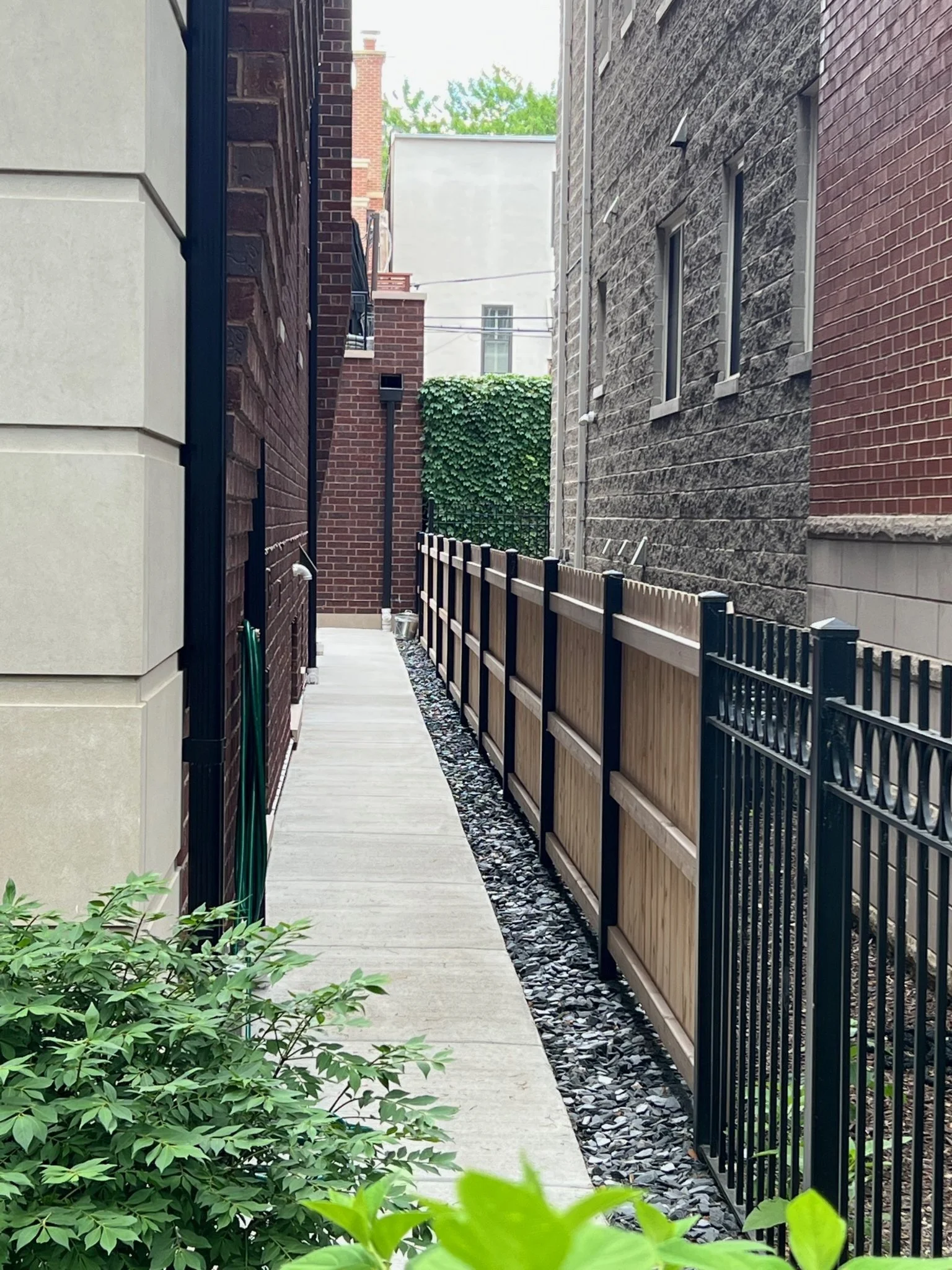 A narrow alleyway between two brick buildings with a concrete sidewalk, a black metal fence on the right, and lush green leafy plants on the left side.