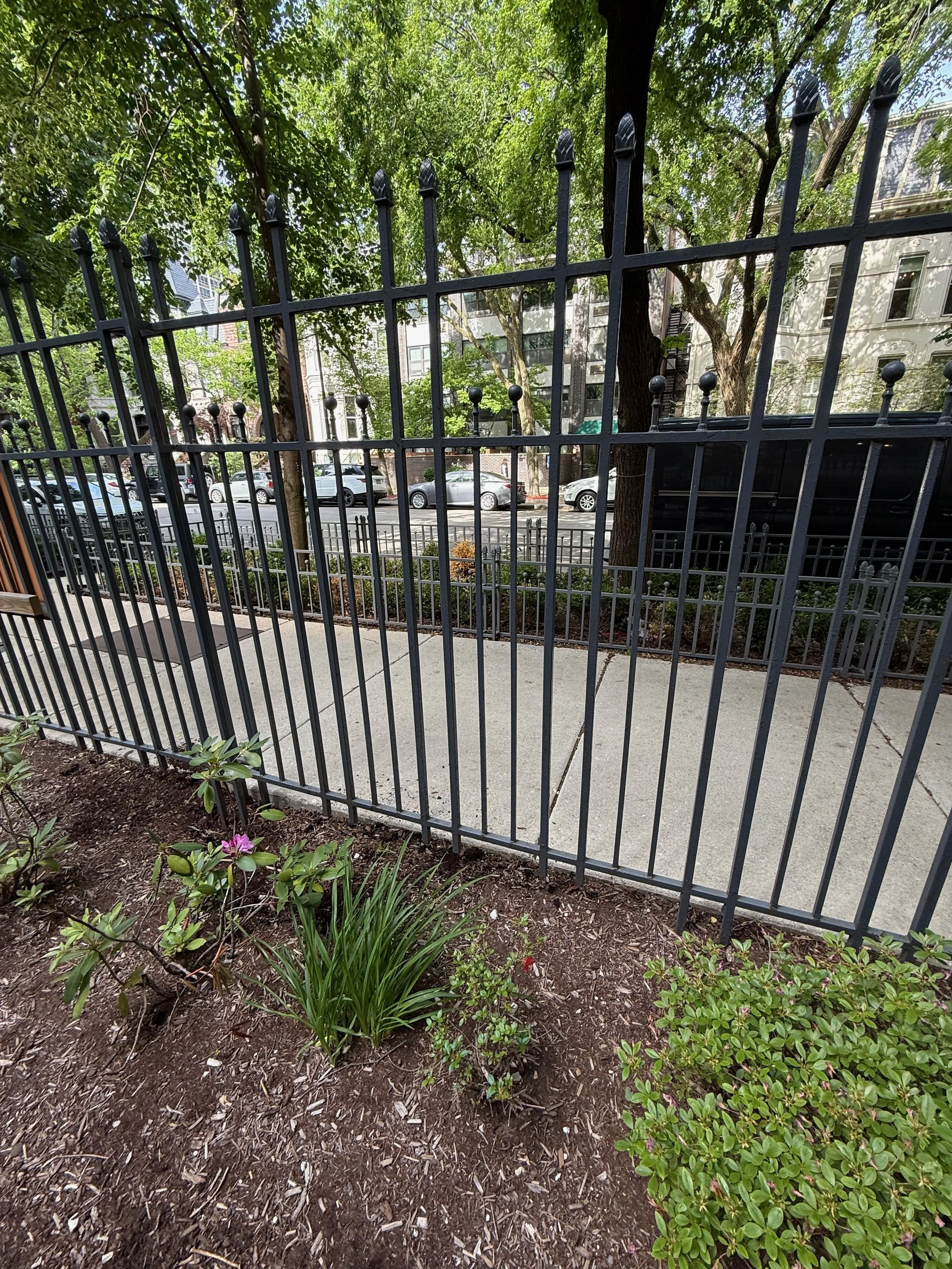 View of a black metal fence in a garden with plants and mulch, and a city street with cars and buildings in the background.
