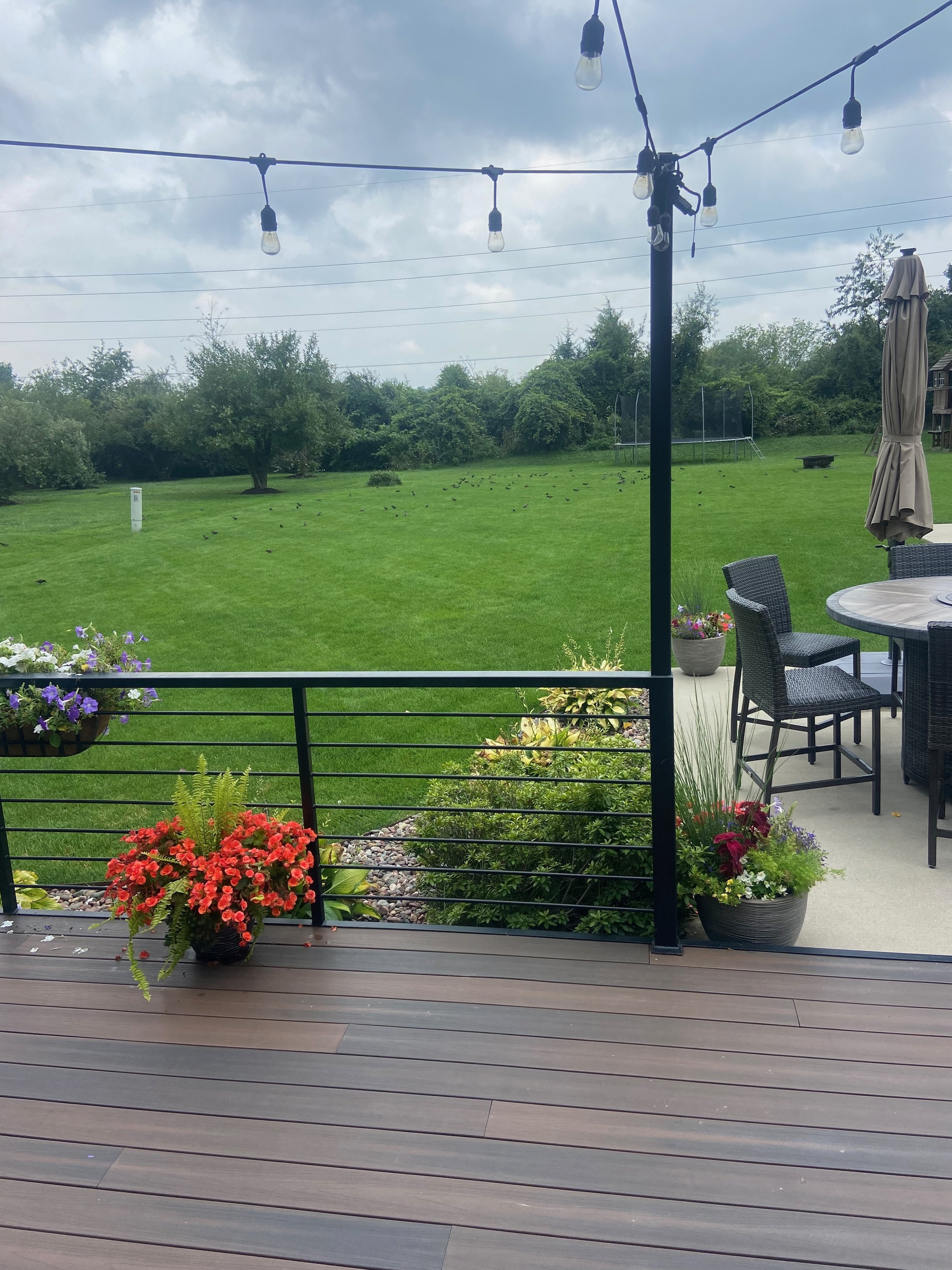 A backyard patio with potted flowers, a round table with chairs, and a view of a grassy yard with trees, birds, a trampoline, and a volleyball court under a cloudy sky.