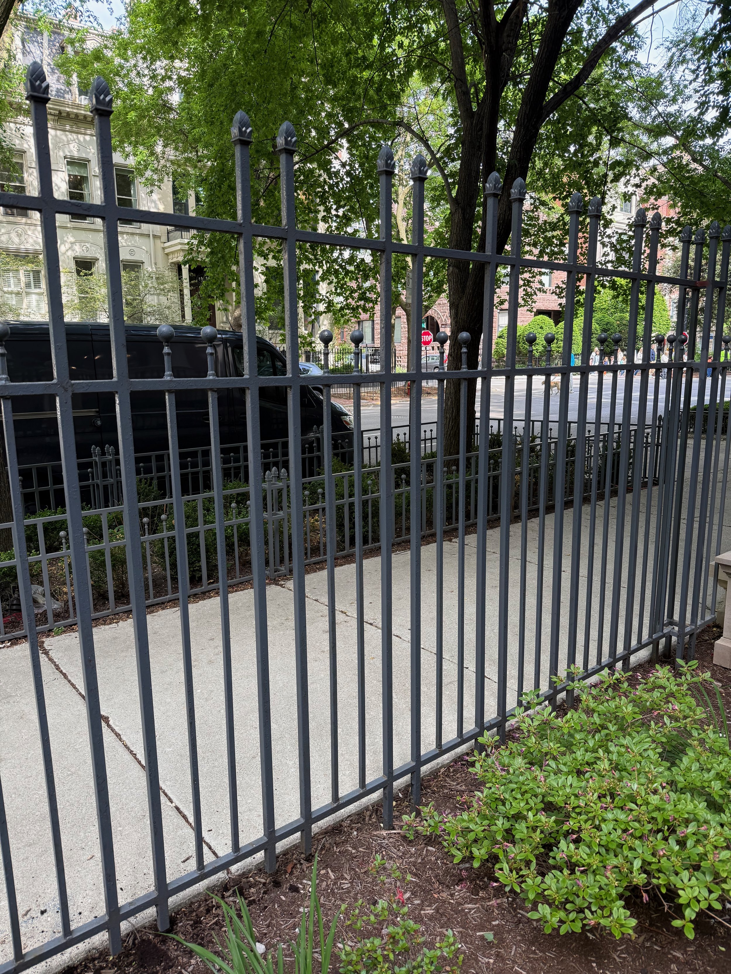 A black metal fence encloses a sidewalk and garden area with small bushes and plants. Behind the fence, a large tree with green leaves is visible, with residential buildings in the background along a street.