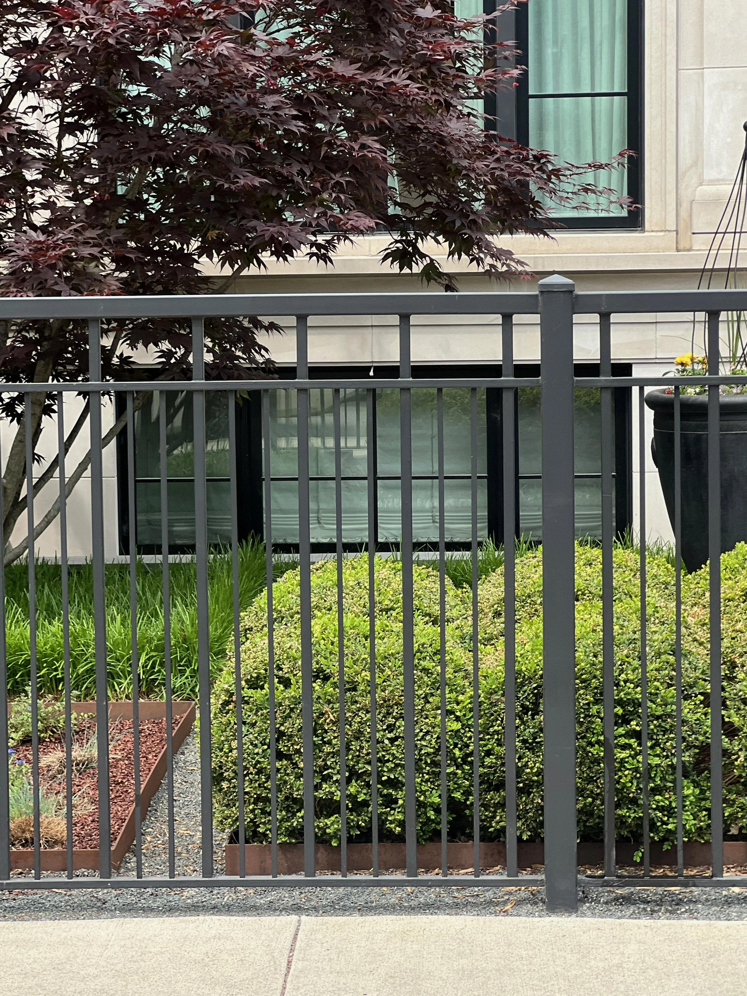 A small garden with green bushes and a red-leafed tree behind a black metal fence in front of a beige building with a large window.