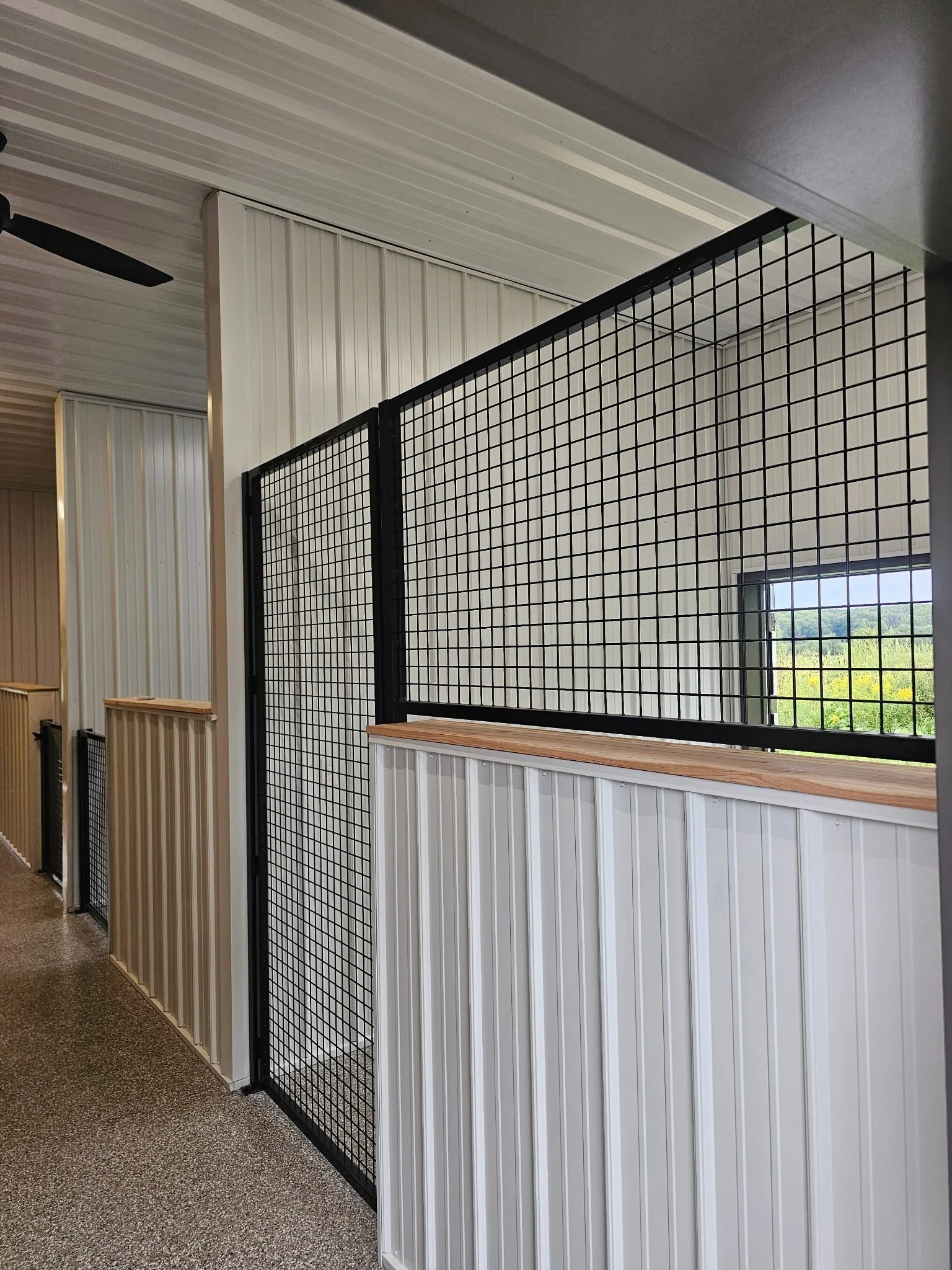 Interior of a building with standing black metal wire fences and white panel walls, a small window showing green trees outside, and a speckled brown carpeted floor.
