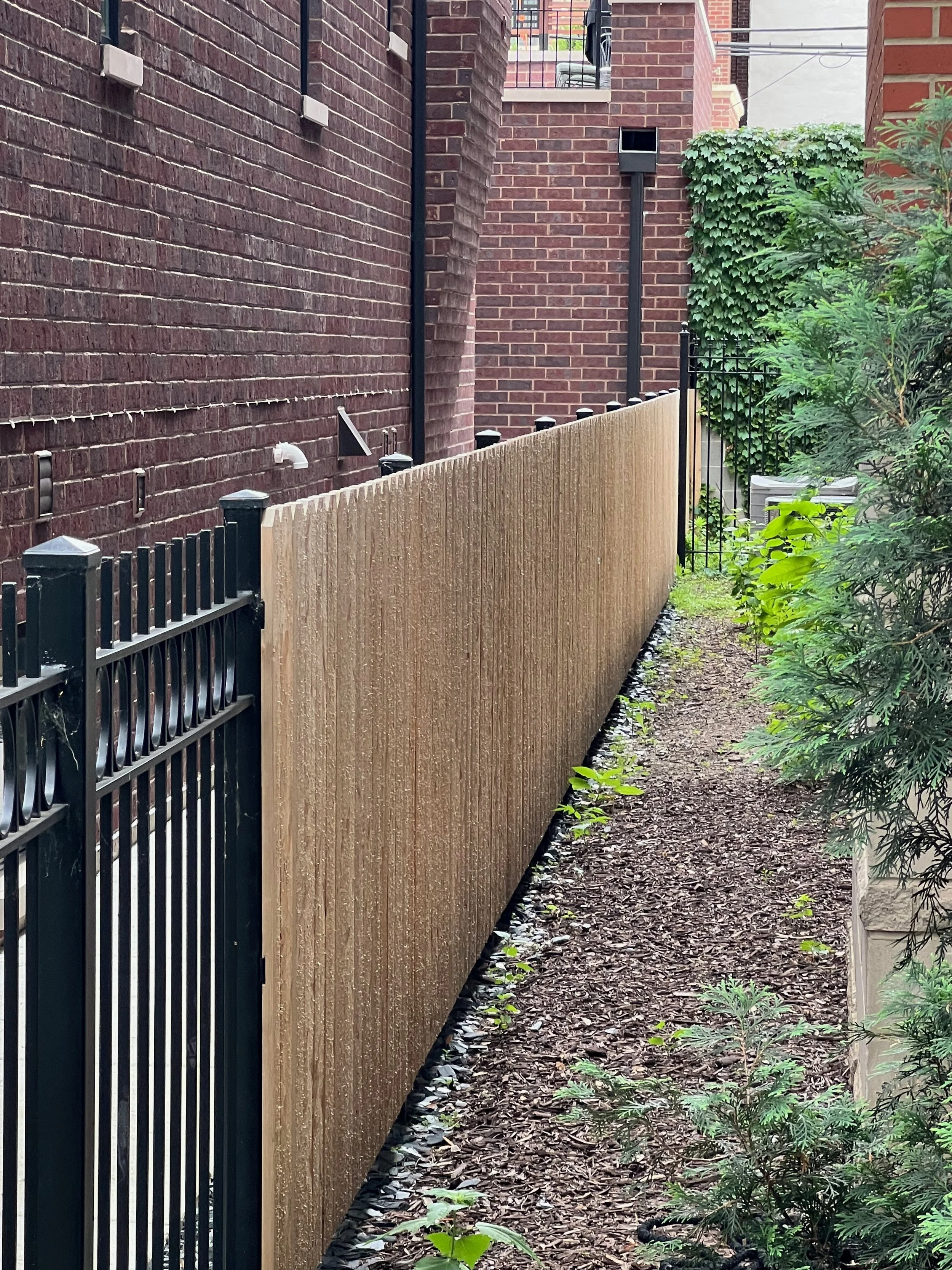 Side yard between a brick building and a wooden fence with greenery and plants along the ground.