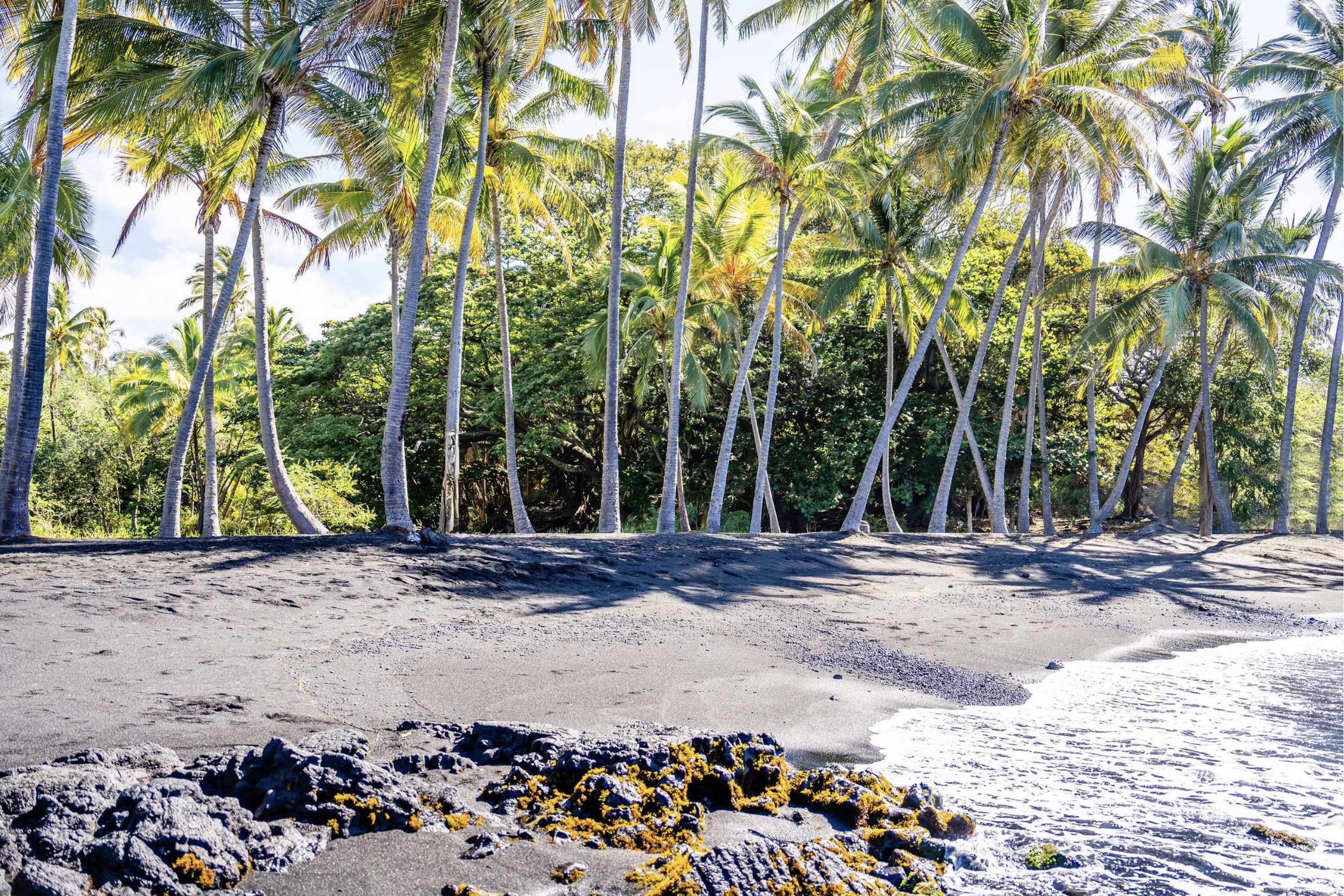Big Island Hawai’i Proposal Guide | Best Locations &amp; Expert Tips