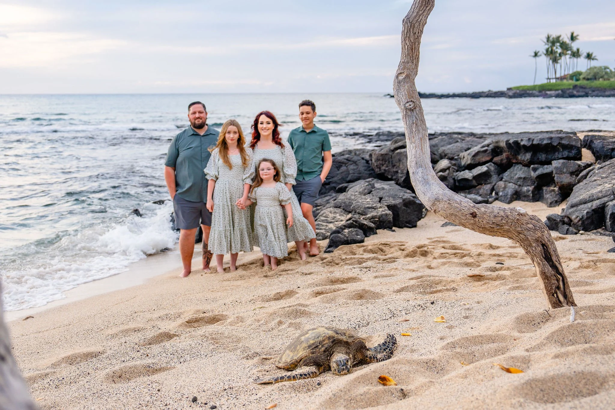 A family of six people standing on a sandy beach near the ocean, with some rocks and a tree in the foreground, and a distant shoreline with palm trees in the background.