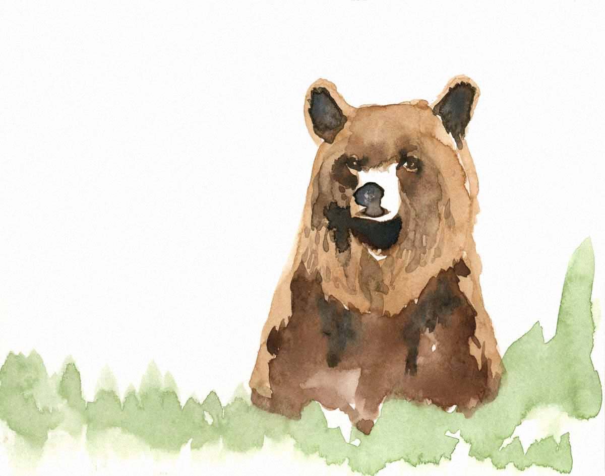 Grizzly.jpg
