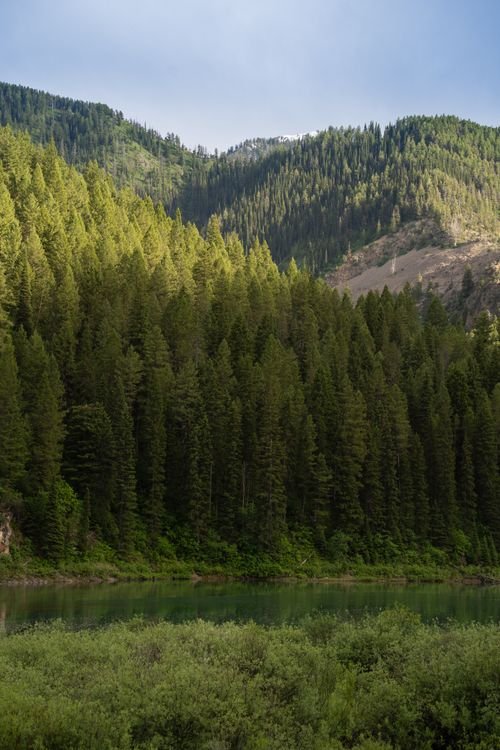 Lush green forested mountains surrounding a calm river, with a partly cloudy sky overhead.