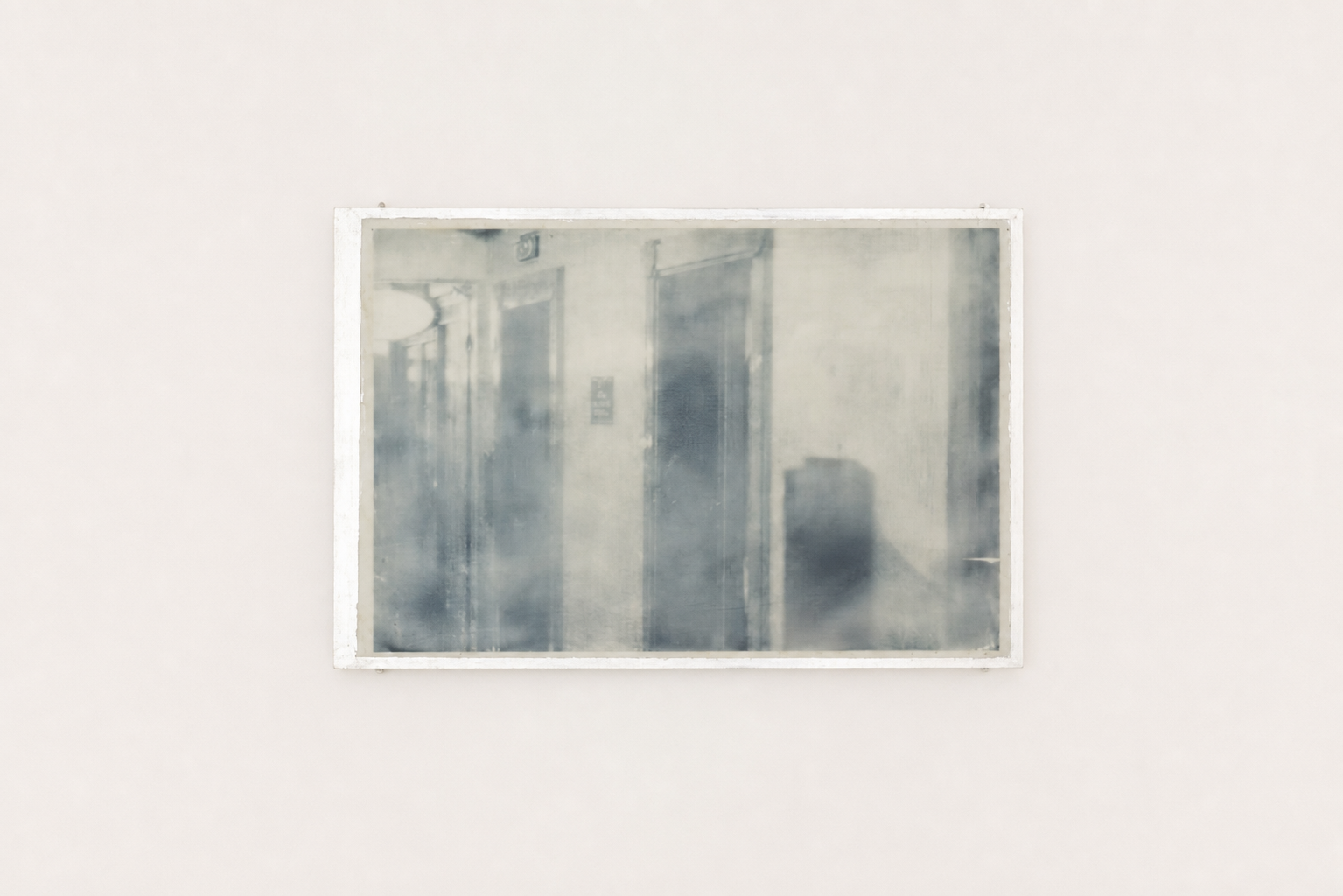 Antechamber  |  Alice Marden