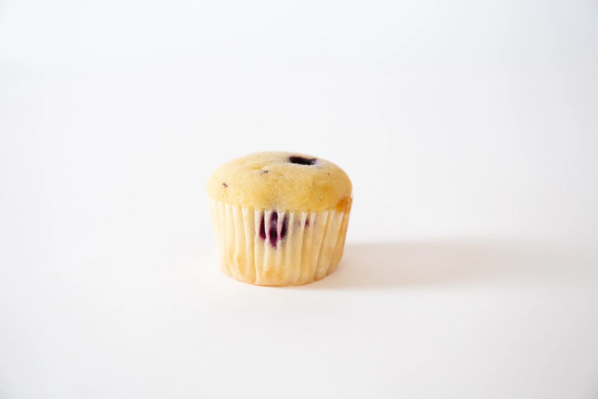 Blueberry Muffin