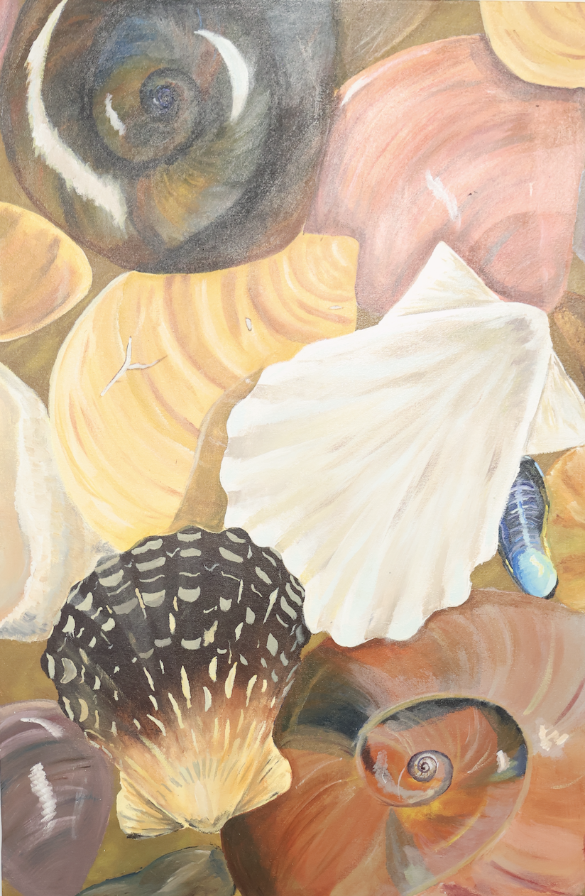 Seashell Symphonies