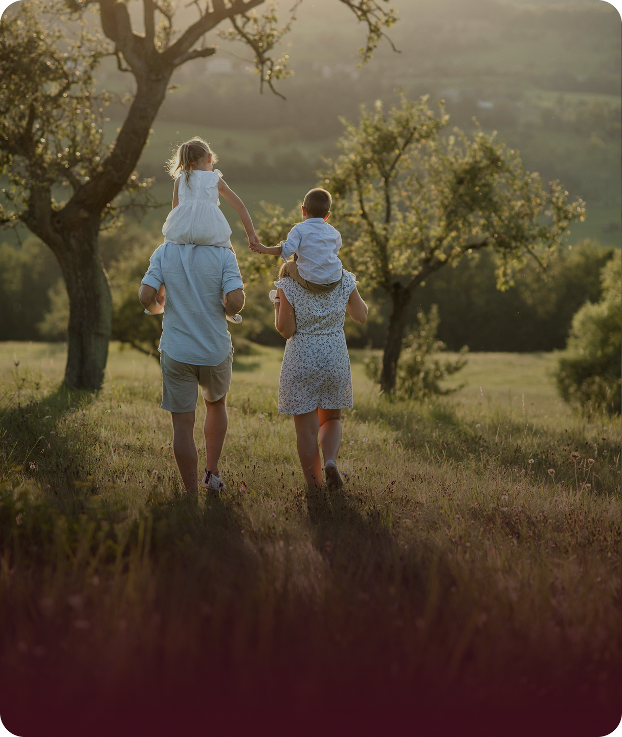 A family of four, with two adults and two children, walking hand in hand through a grassy field with trees, during sunset.