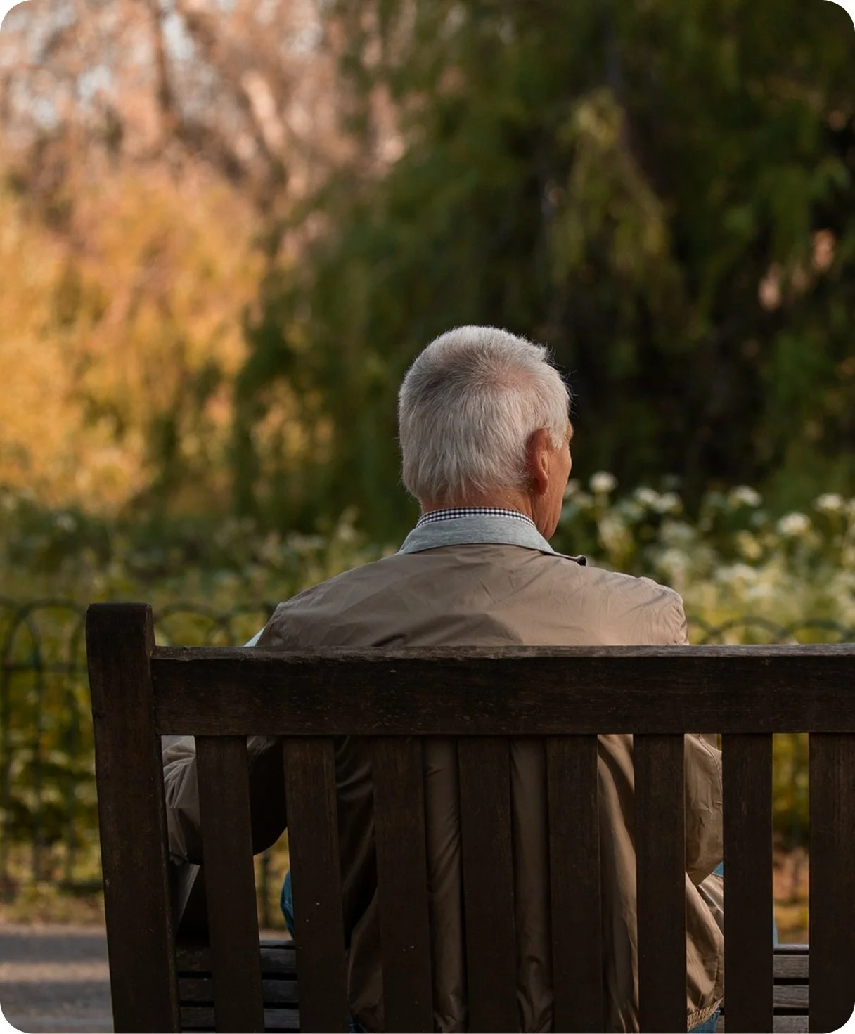 An elderly man with silver hair sitting on a wooden bench outdoors, facing away, with blurred trees and foliage in the background during autumn.
