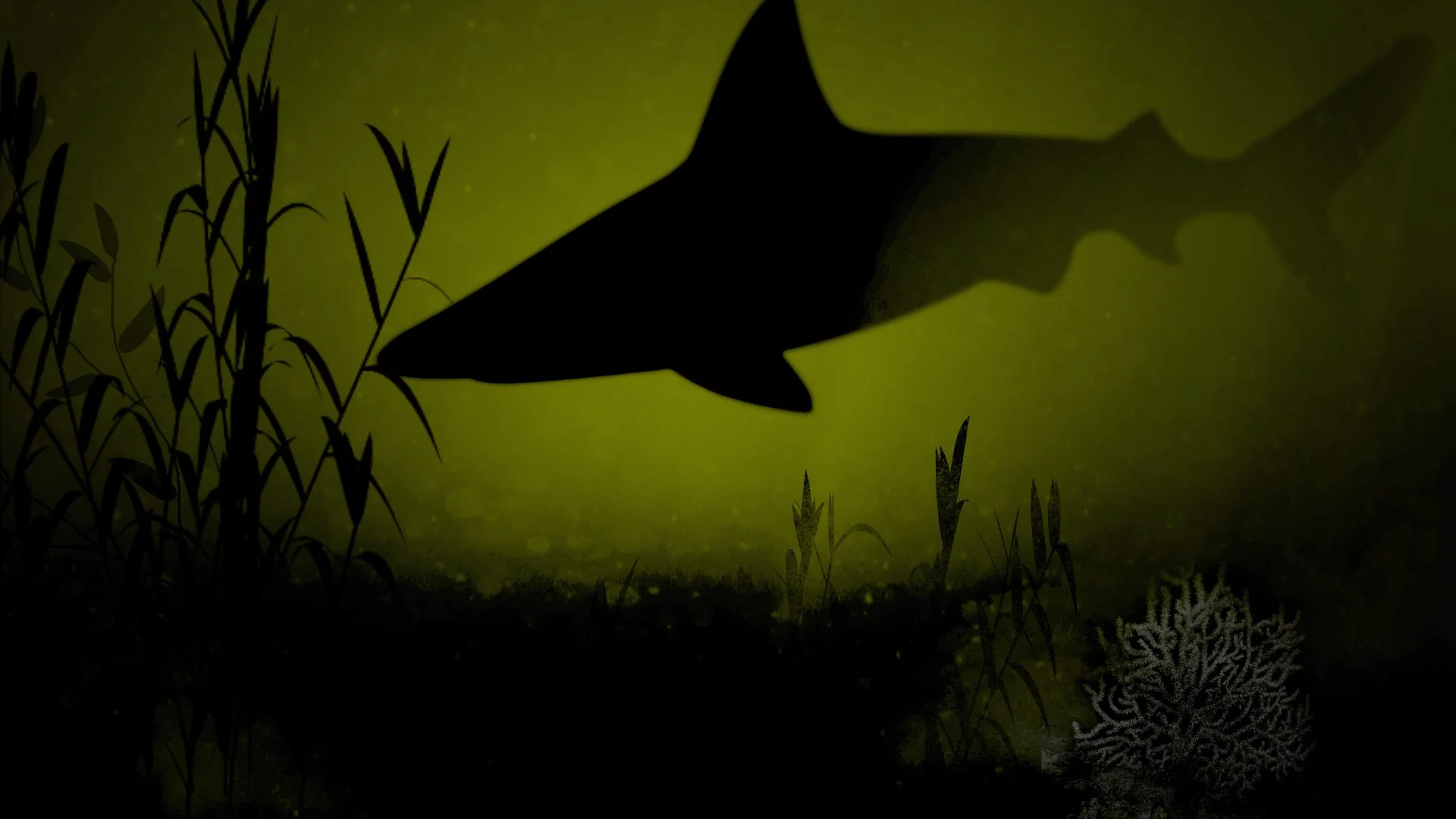 NIGHT_frame4.jpg