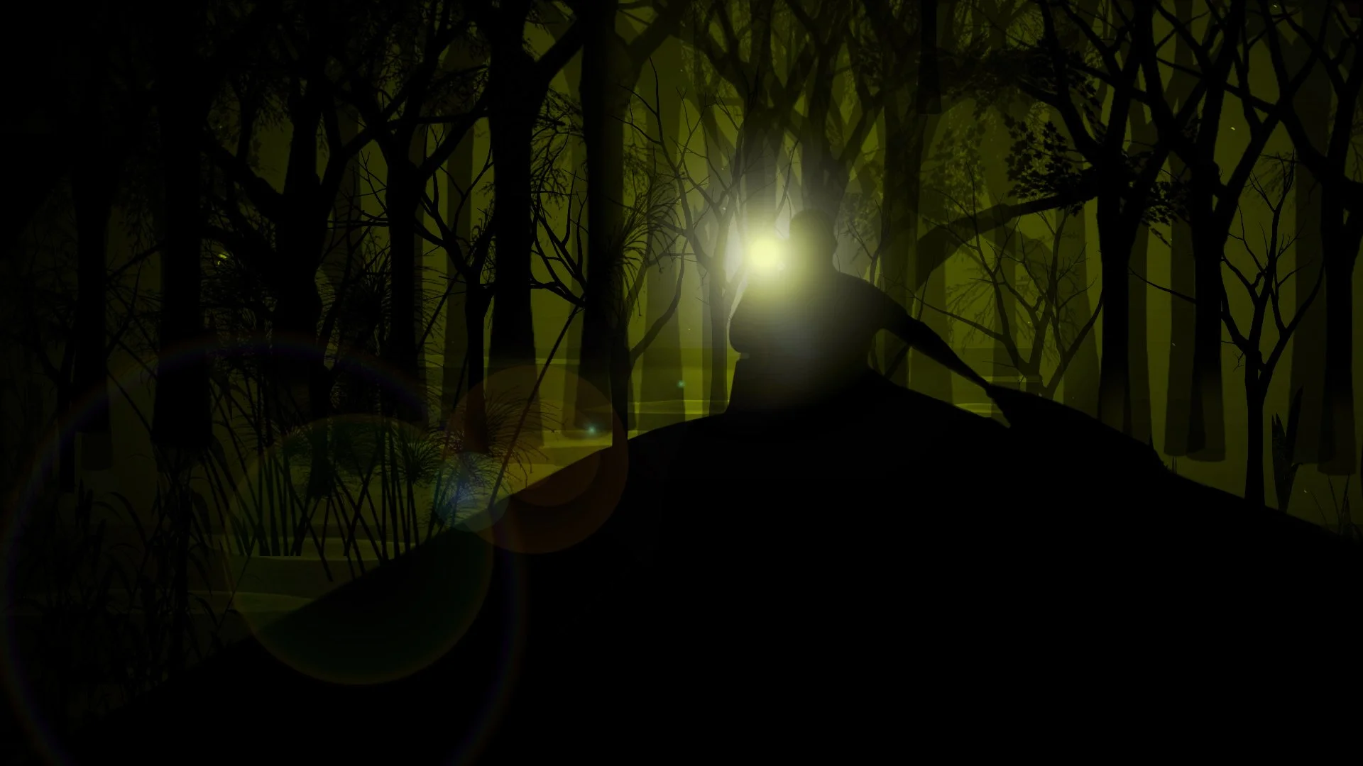 NIGHT_frame7.jpg