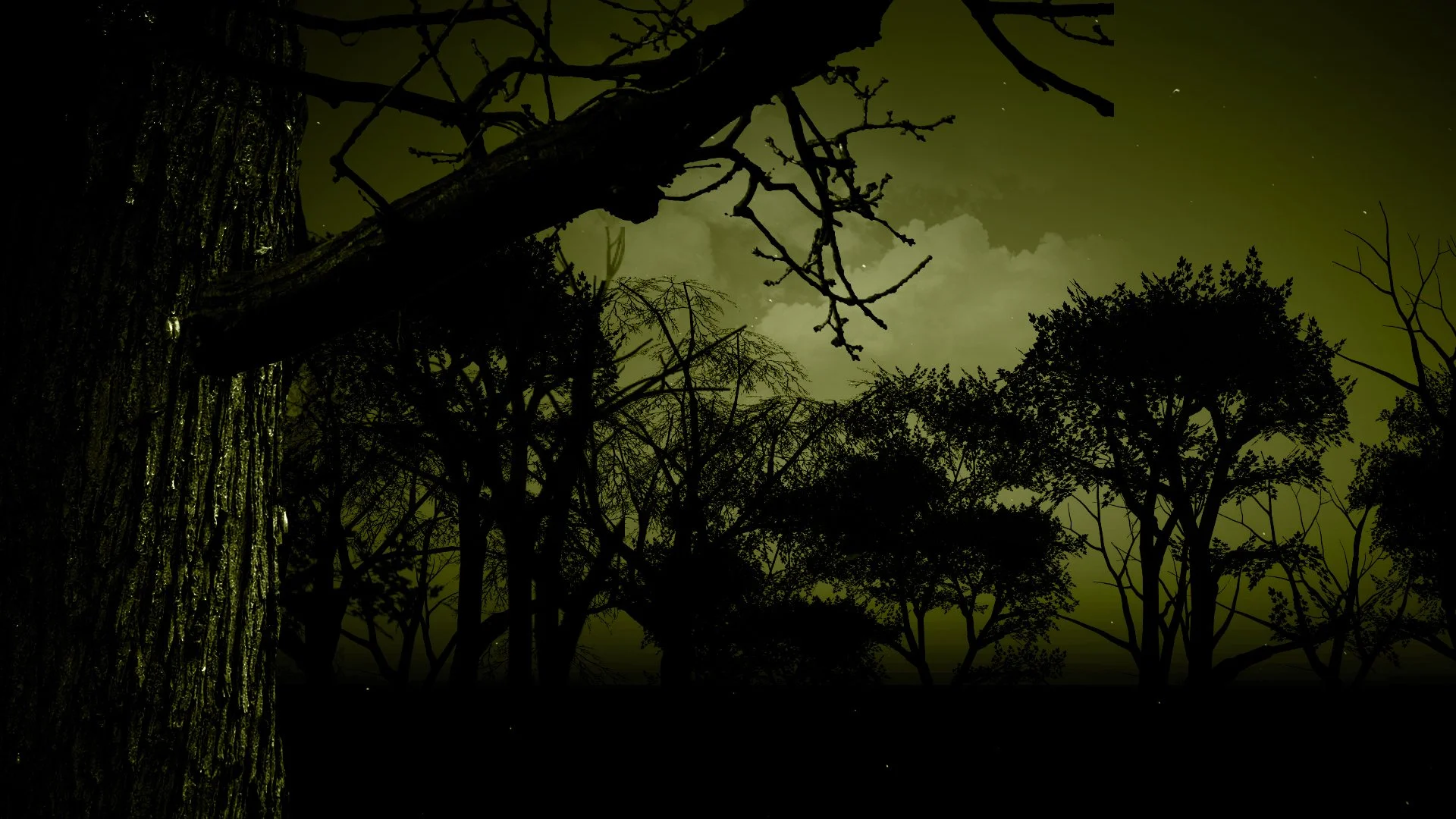 NIGHT_frame15.jpg