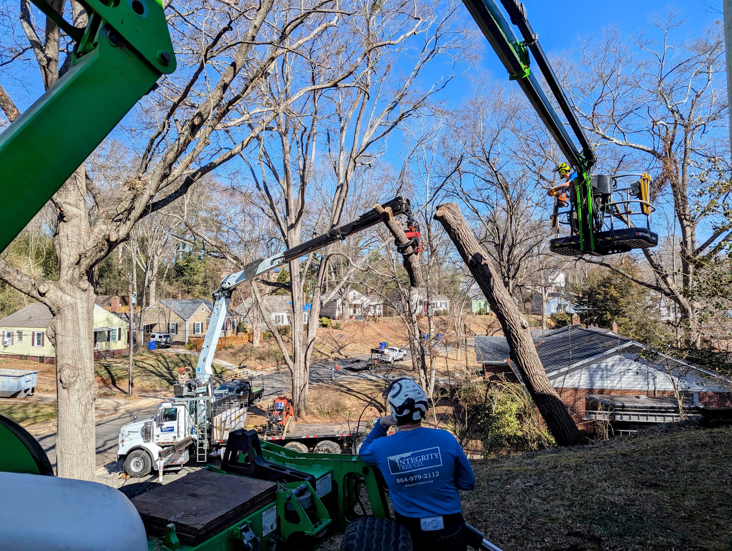 Workers operating tree-trimming equipment on tall trees in a residential neighborhood during daytime. Clear blue sky with leafless trees, houses, and parked vehicles in the background.