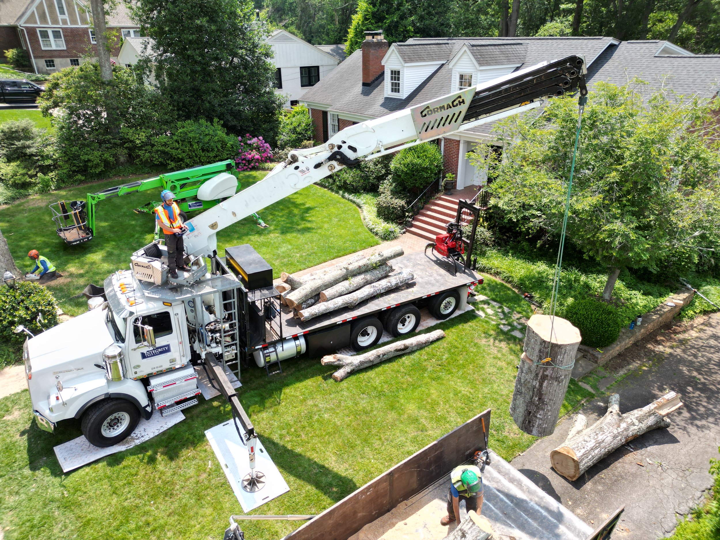 Workers using a crane to cut down a large tree in a residential yard with houses, green grass, and trees.