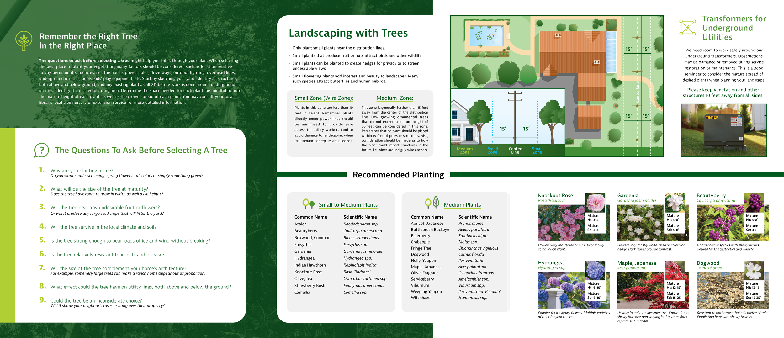 Right Tree_Right Place_2024-V7.png