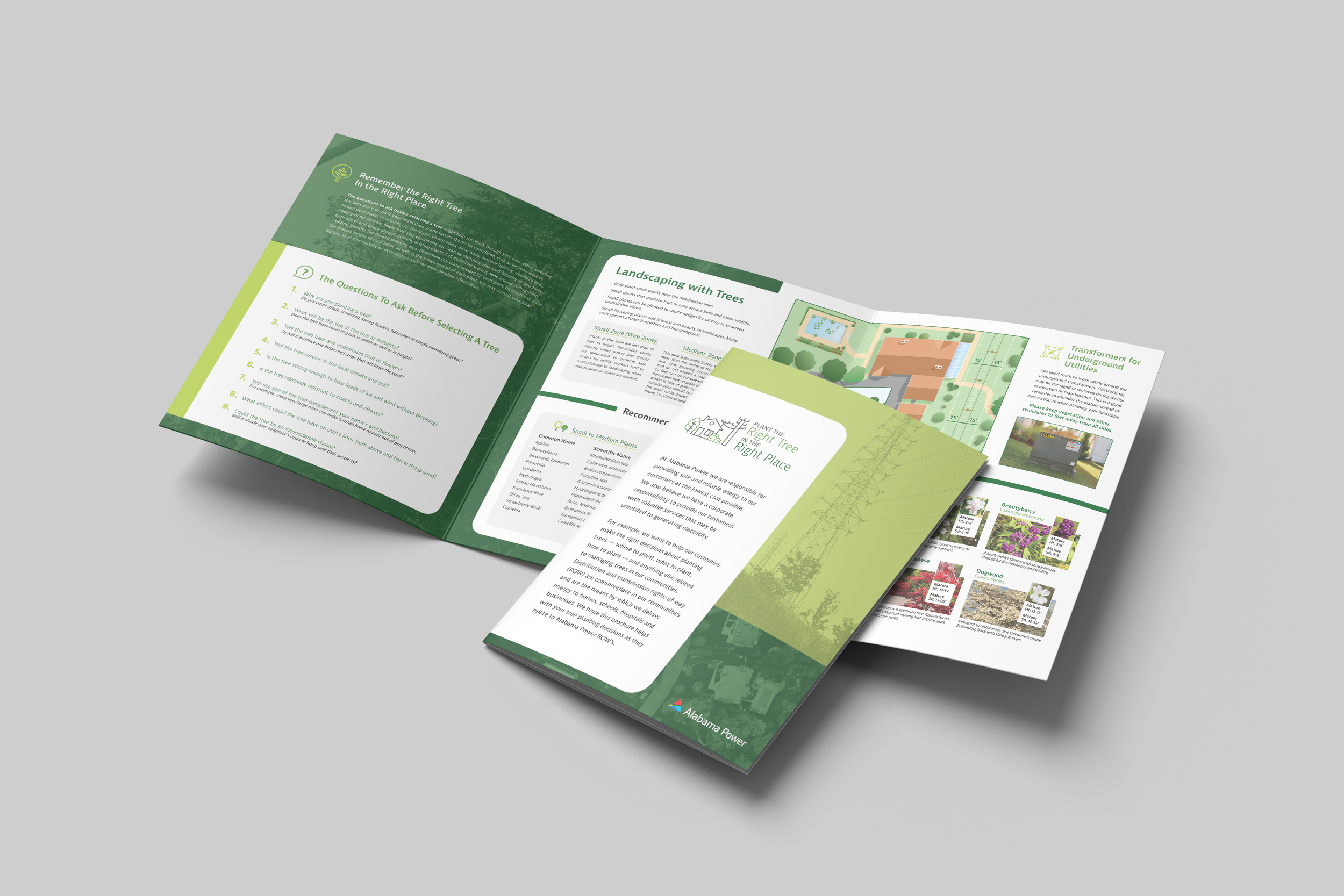 BROCHURE | RIGHT TREE, RIGHT PLACE | ALABAMA POWER