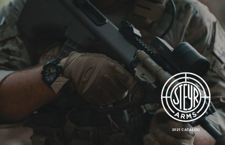 STEYR1.png