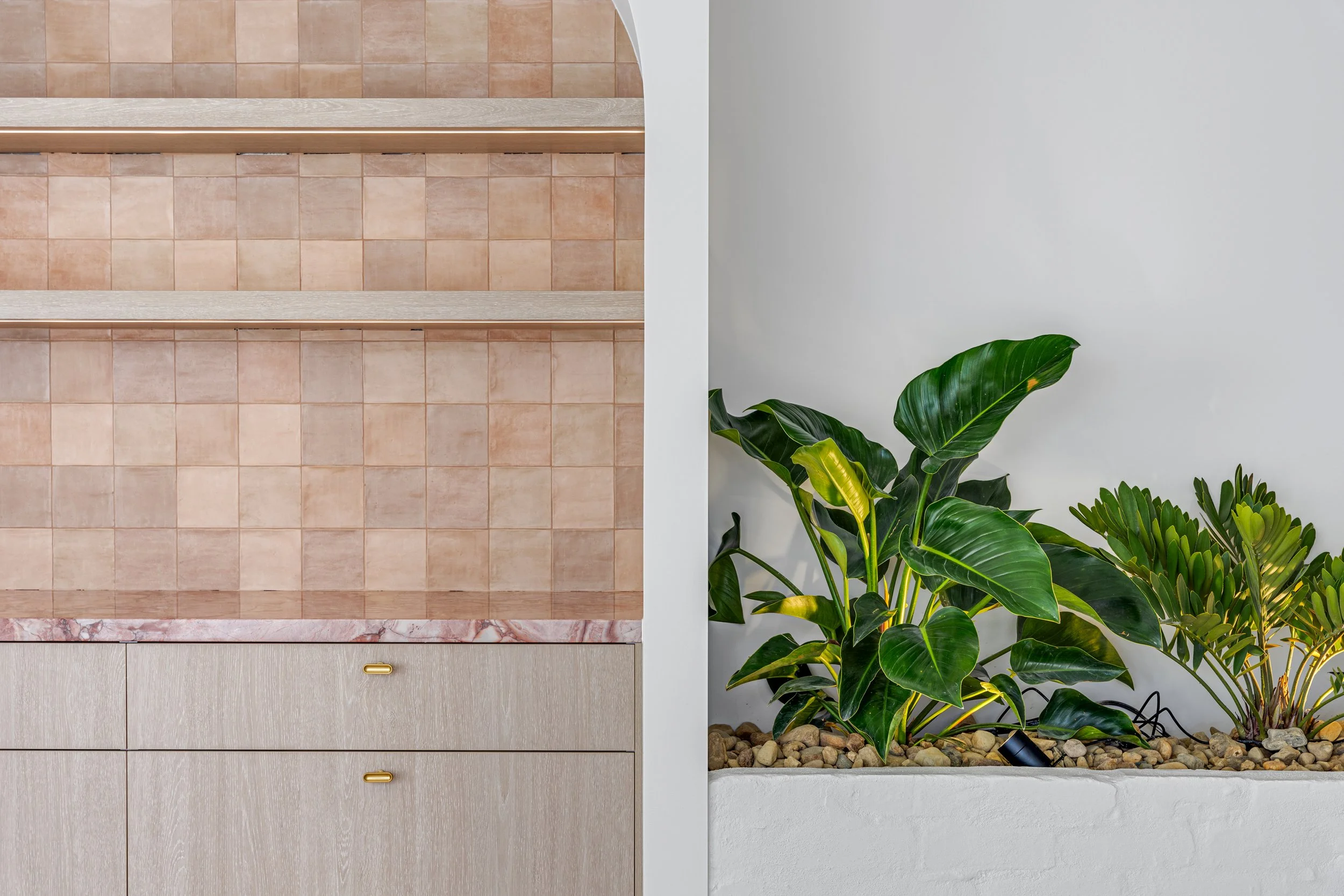 Interior decor with a tiled wall on the left and potted green plants on the right, separated by a white wall.