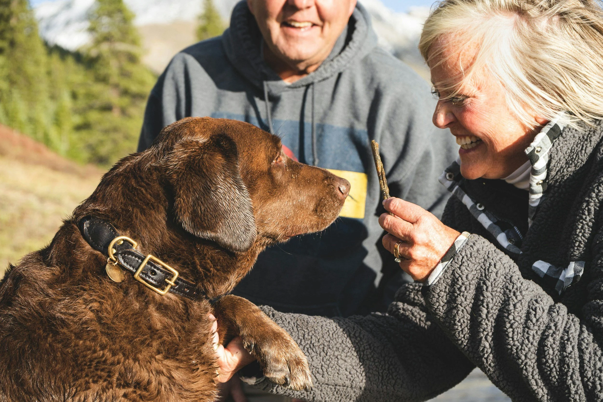older adults with dog lovingly gazing at them