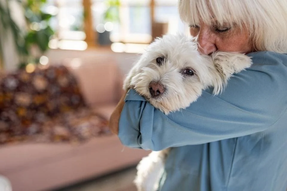 loving elderly dog owner, cuddle dog time