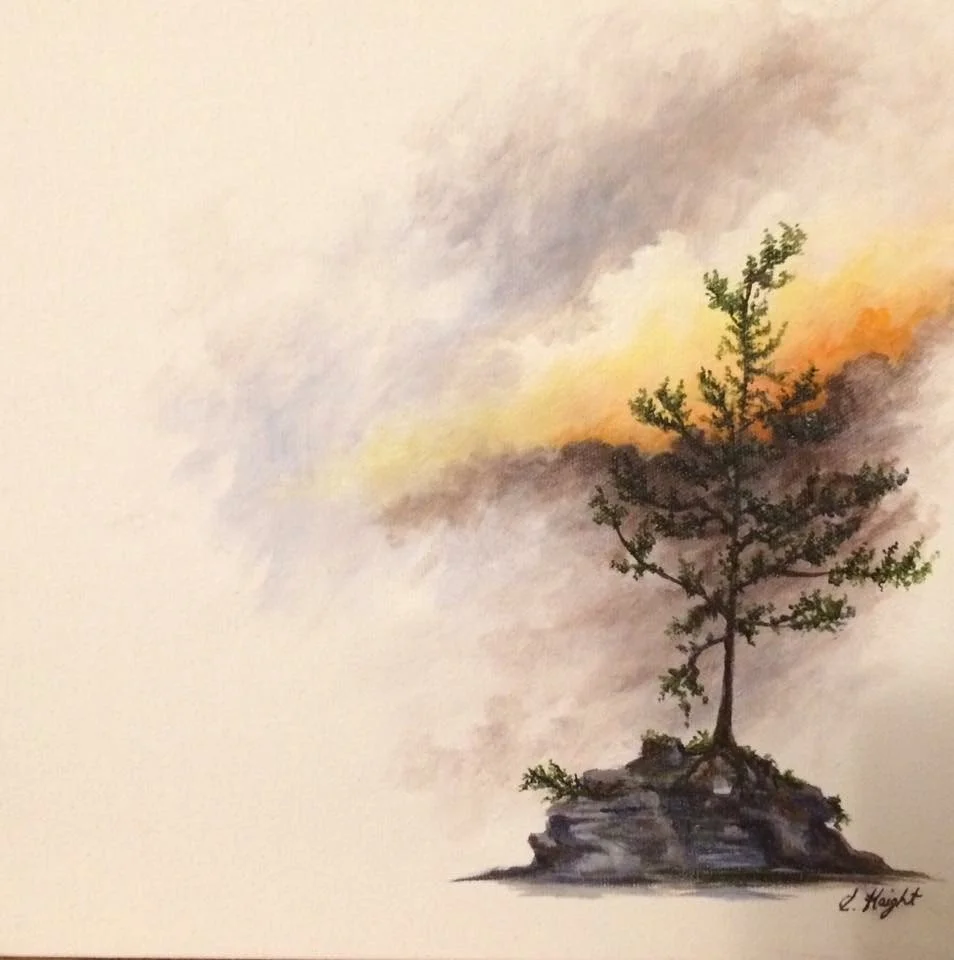 © 2025 Erin Haight. All artwork © the artist. All rights reserved.