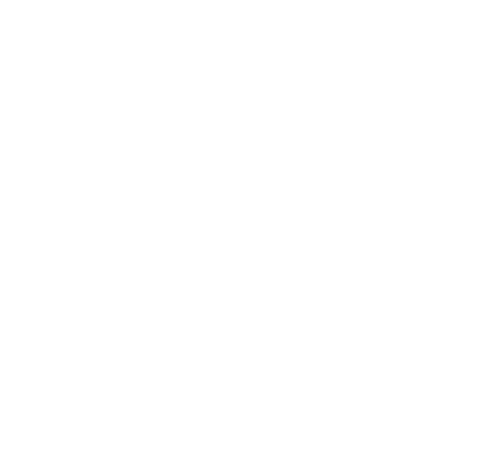 The Alaska Squid Company
