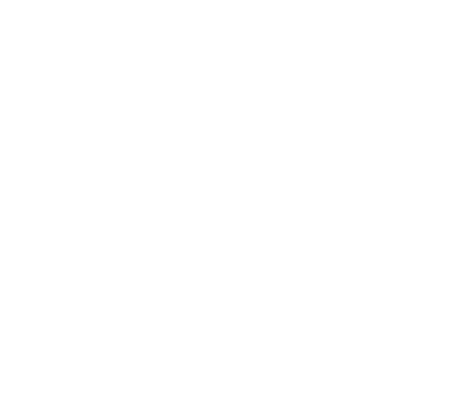 The Alaska Squid Company