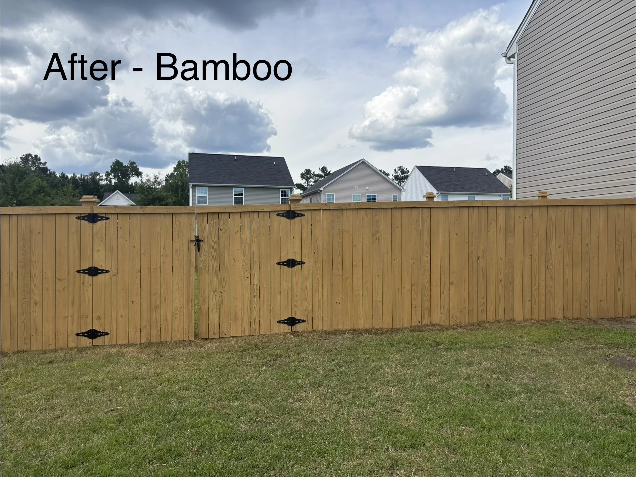 Cane Bay - Bamboo Fence 2.jpeg