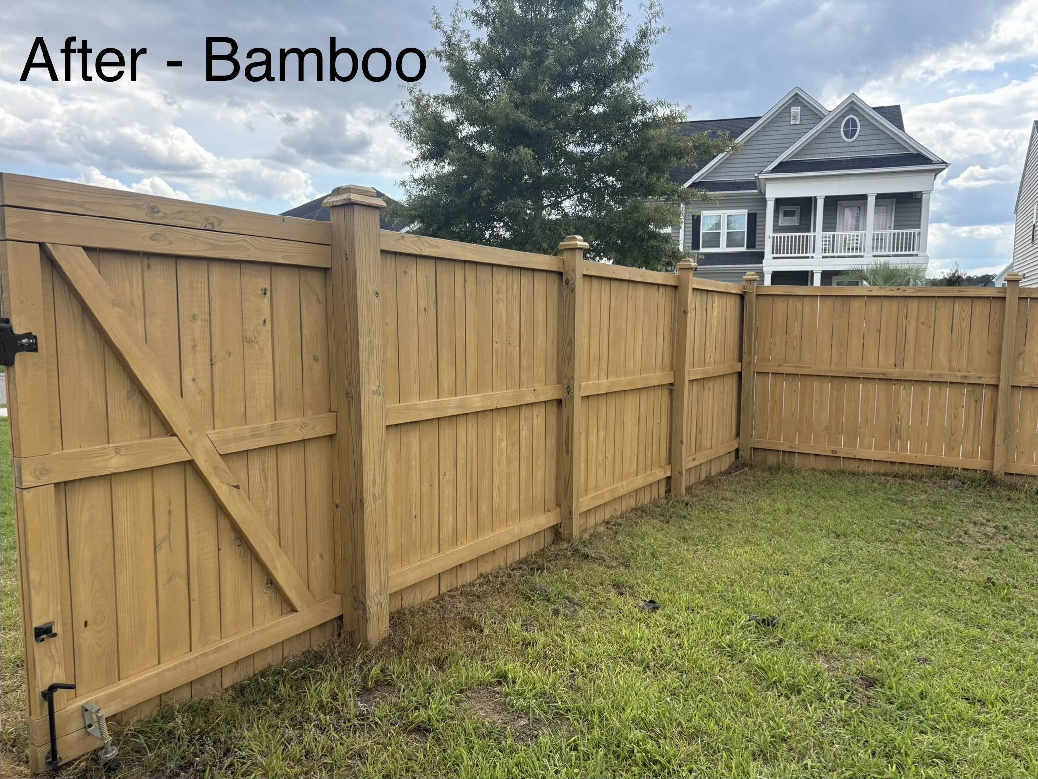 Cane Bay - Bamboo Fence 1.jpeg