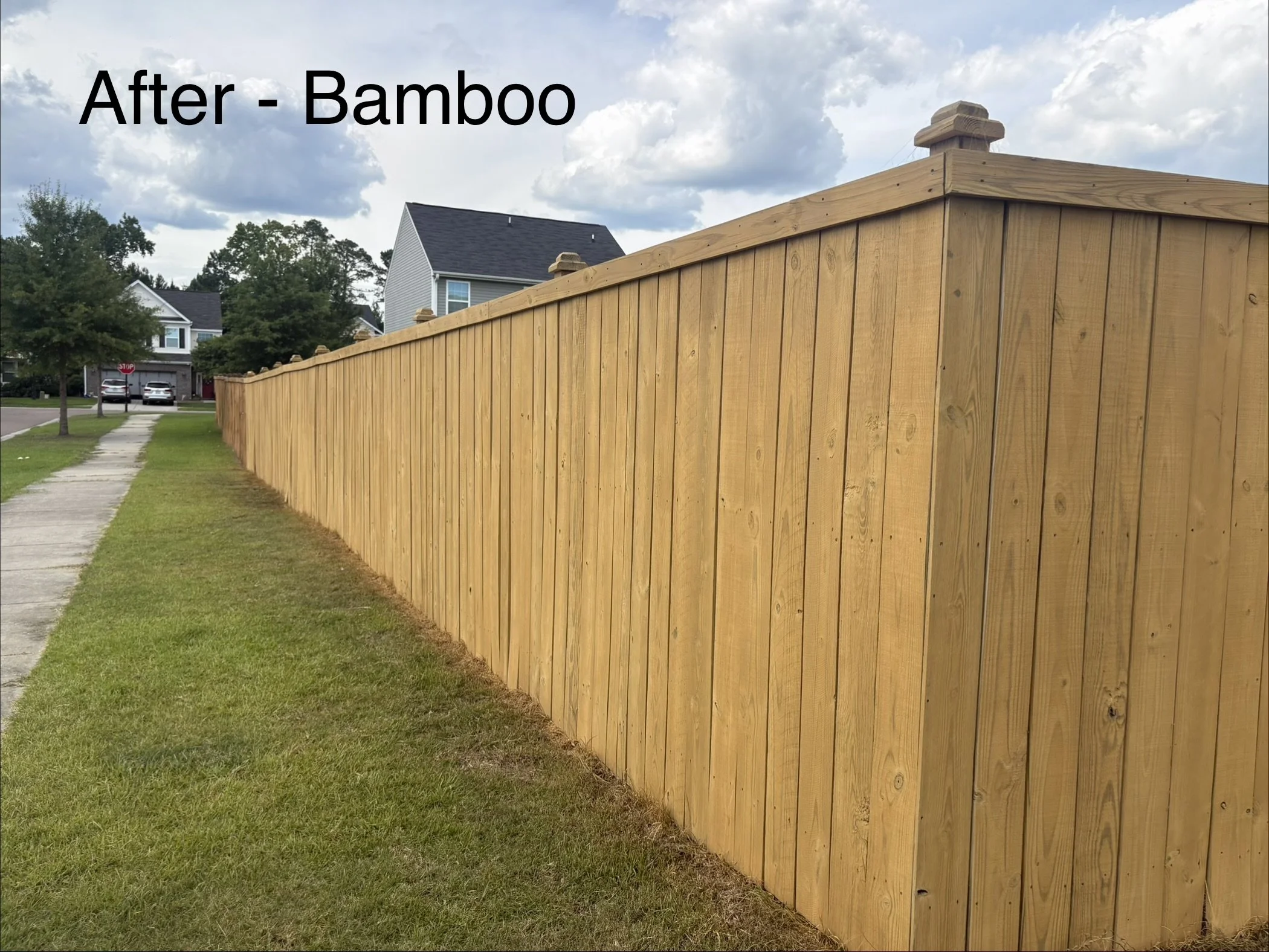 Cane Bay - Bamboo Fence 3.jpeg
