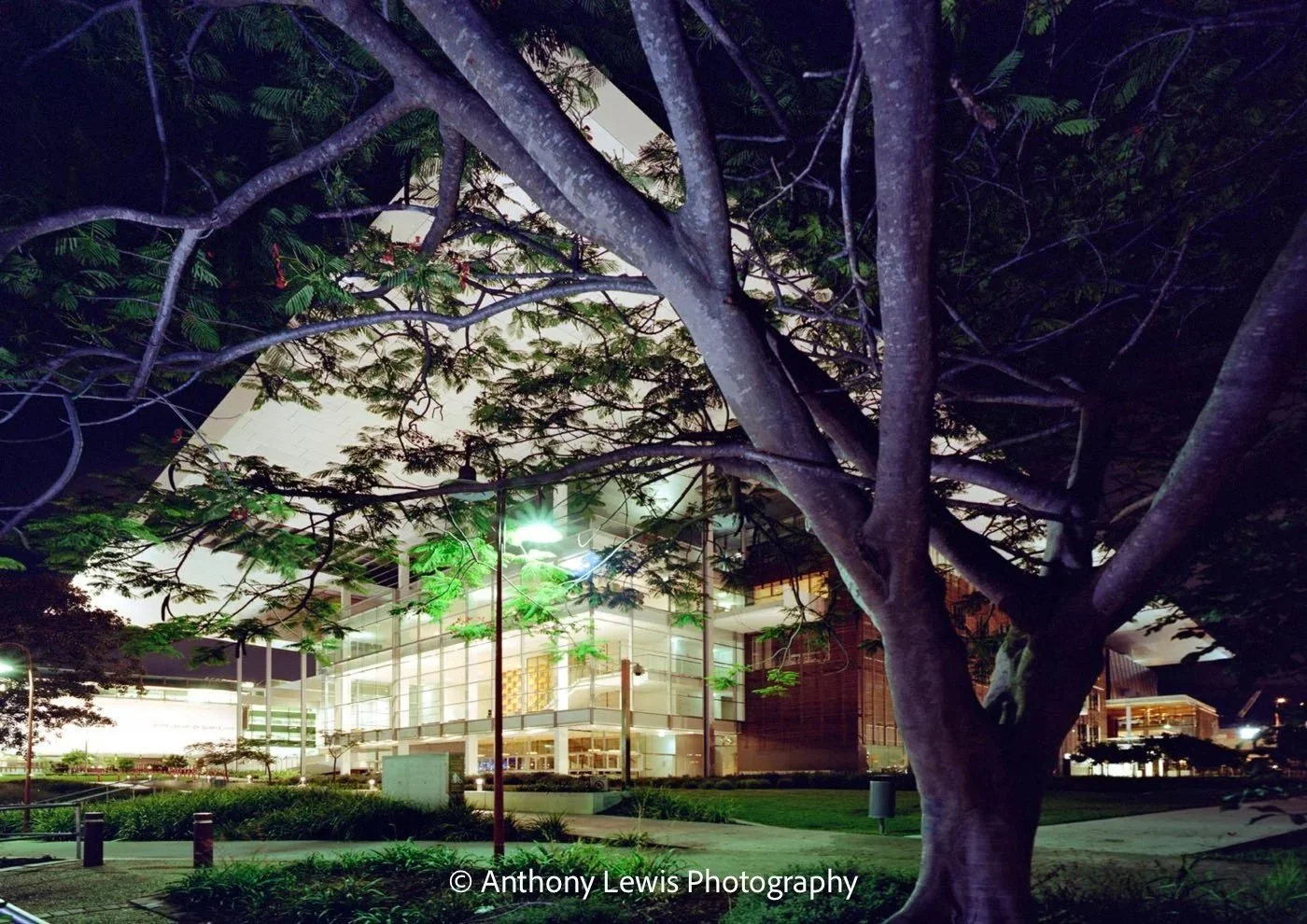 Brisbane Art Gallery l, 4x5 inch Portra film