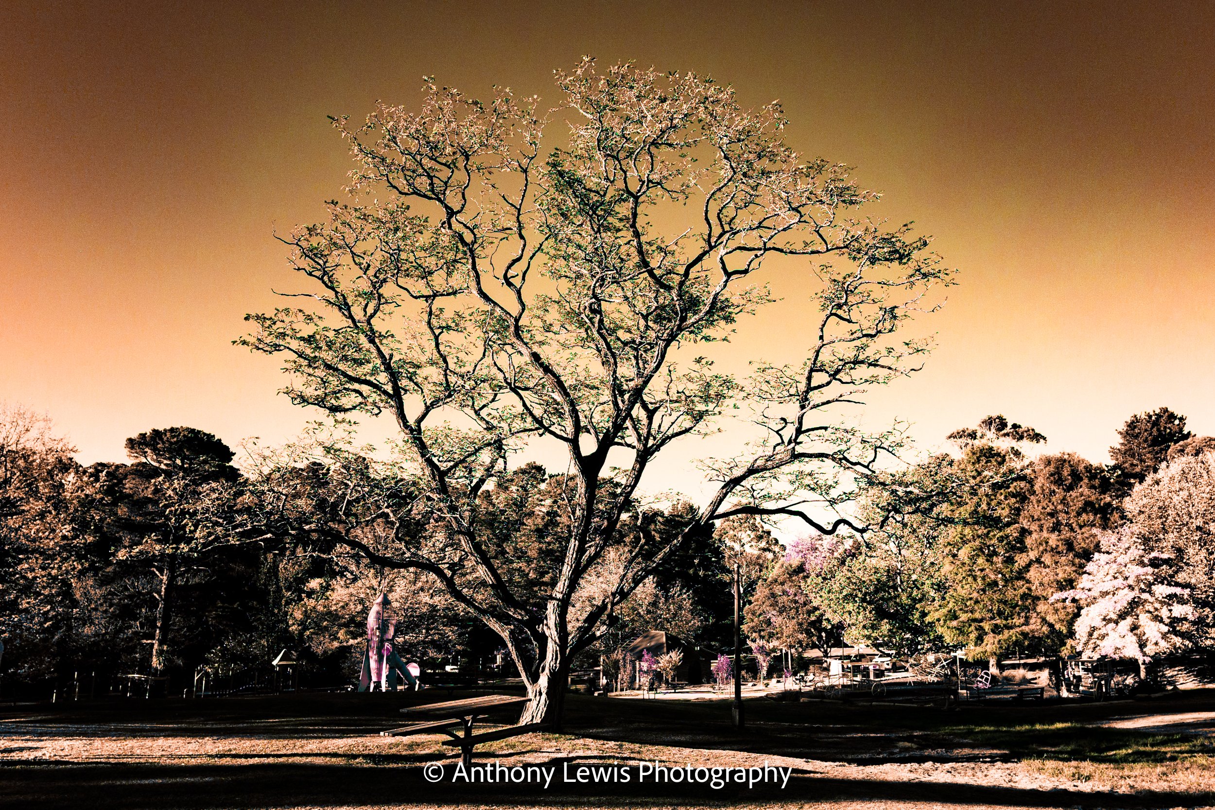 Tree IR, ll